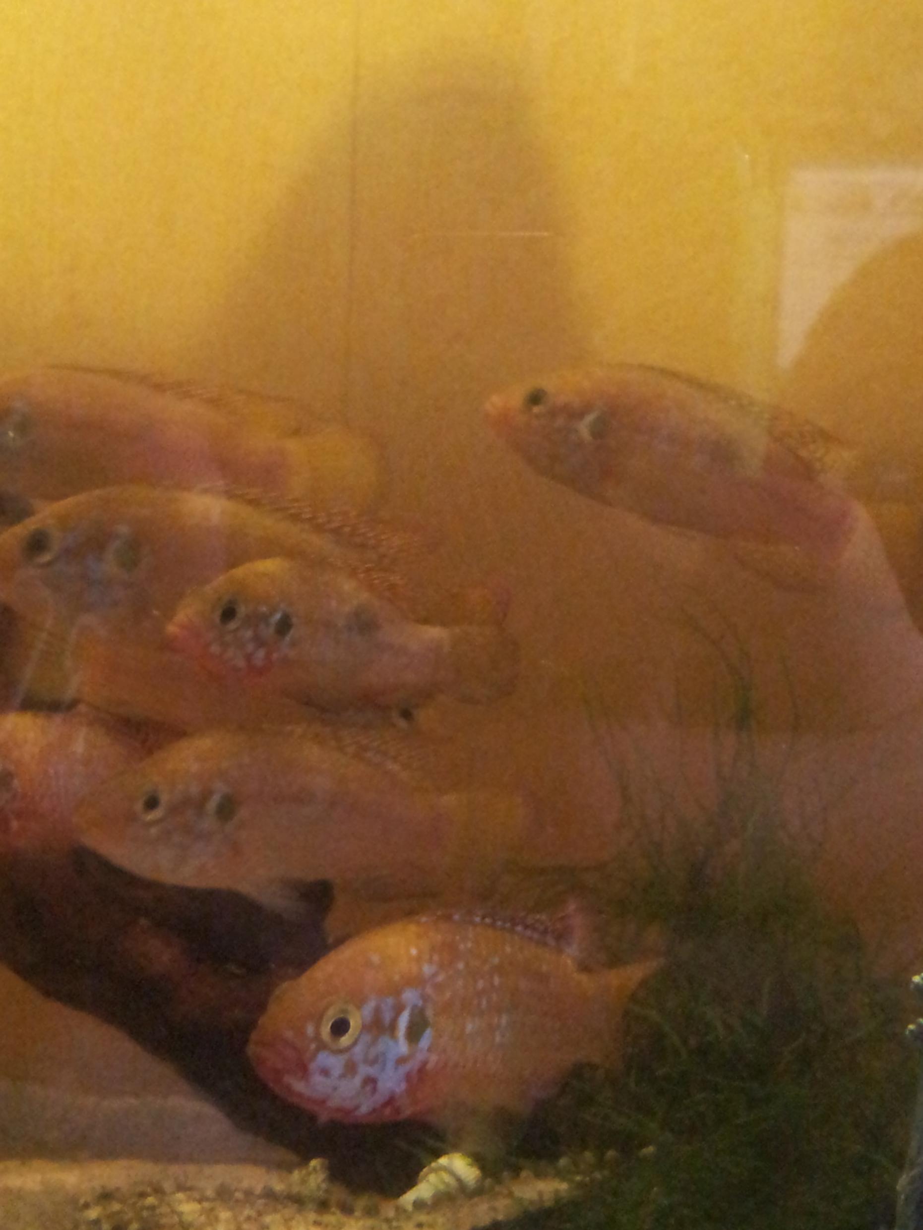 2013-09-04 08.37.35.jpg
