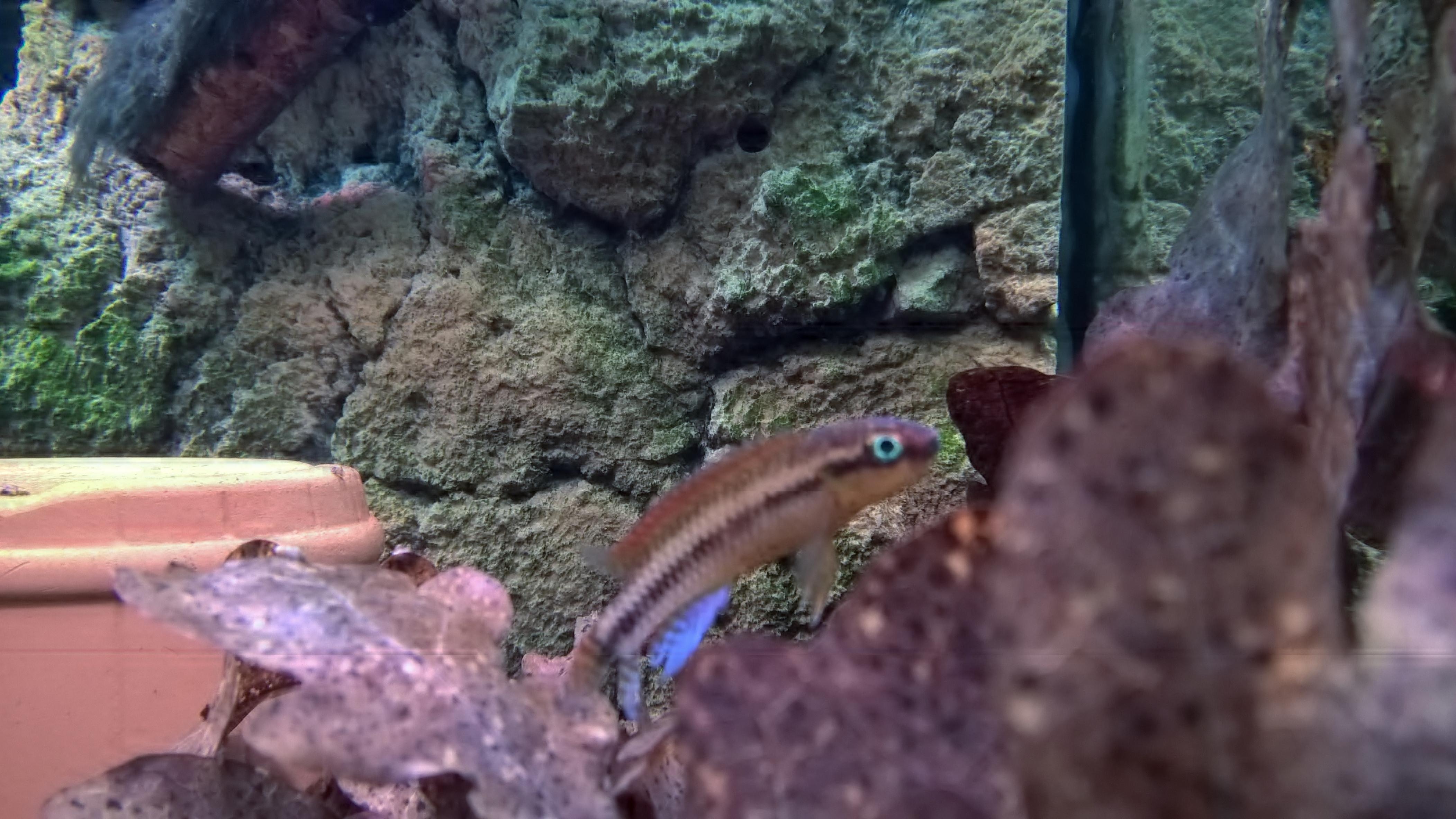 WP_20161107_17_24_31_Pro.jpg
