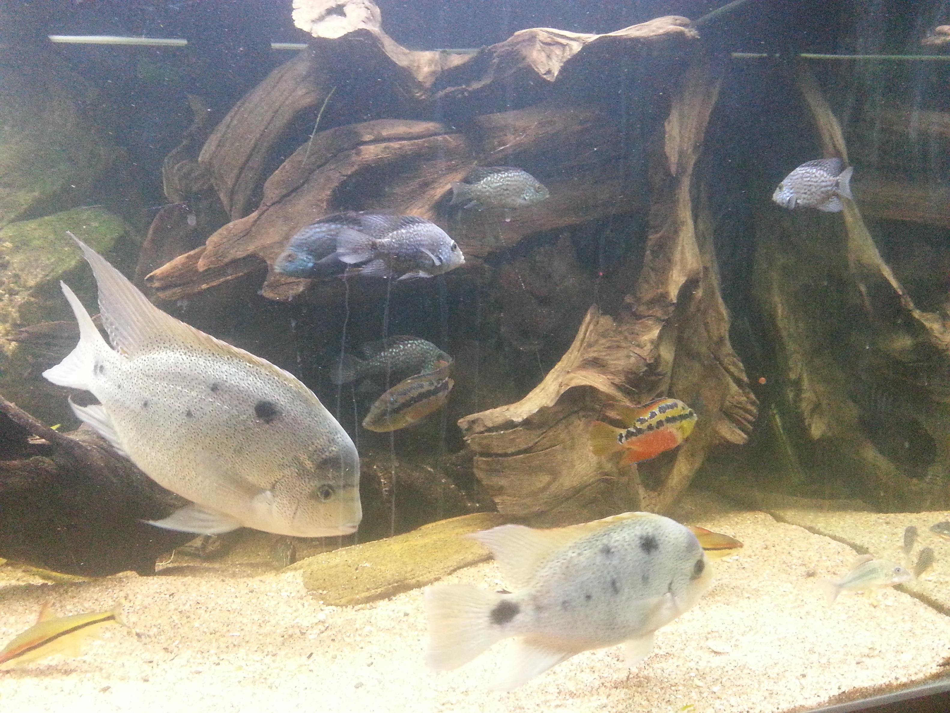 20130127_181338.jpg