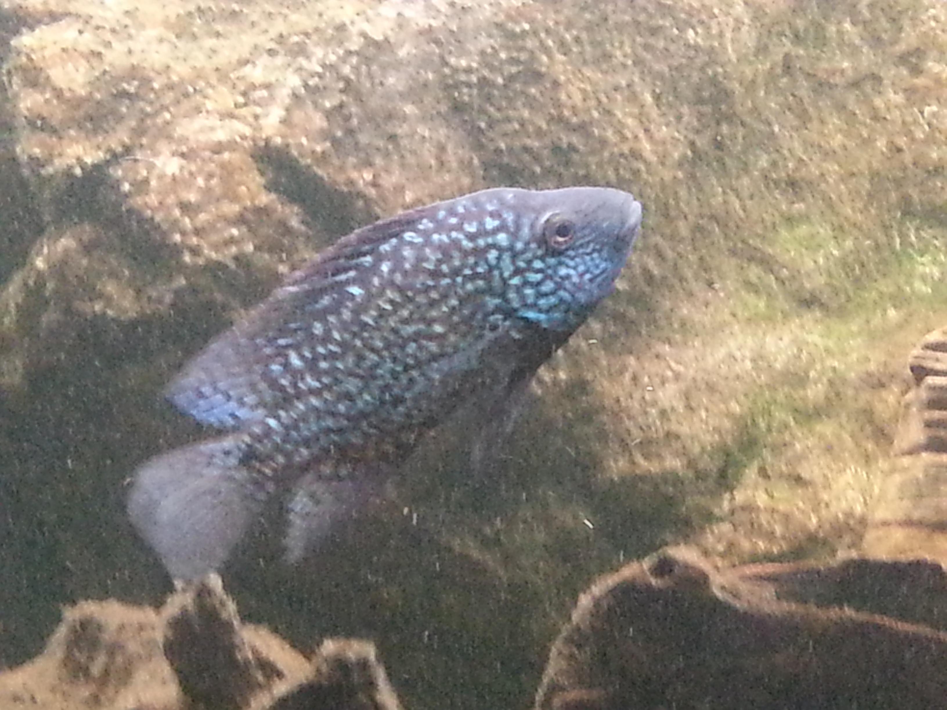 20130116_172642.jpg