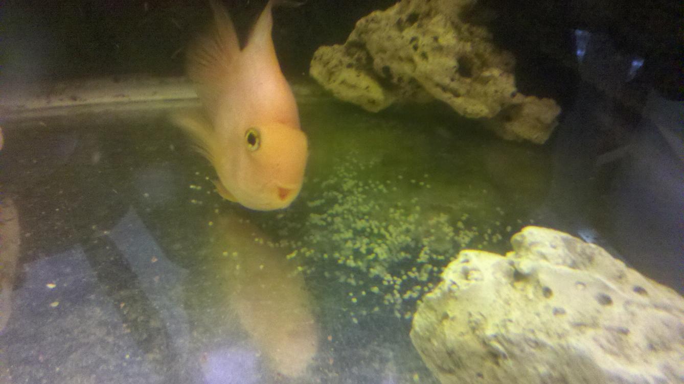 2013-04-05_18-48-25_696.jpg