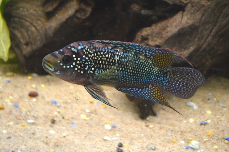 DSC_0283.JPG