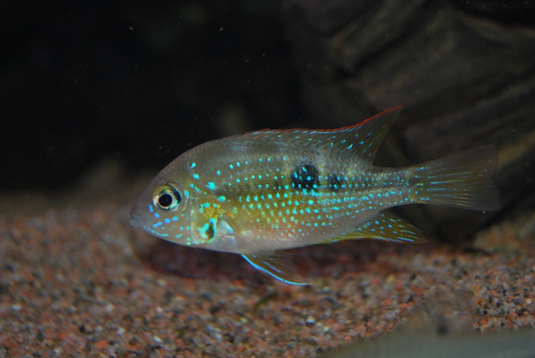 DSC_0914.jpg