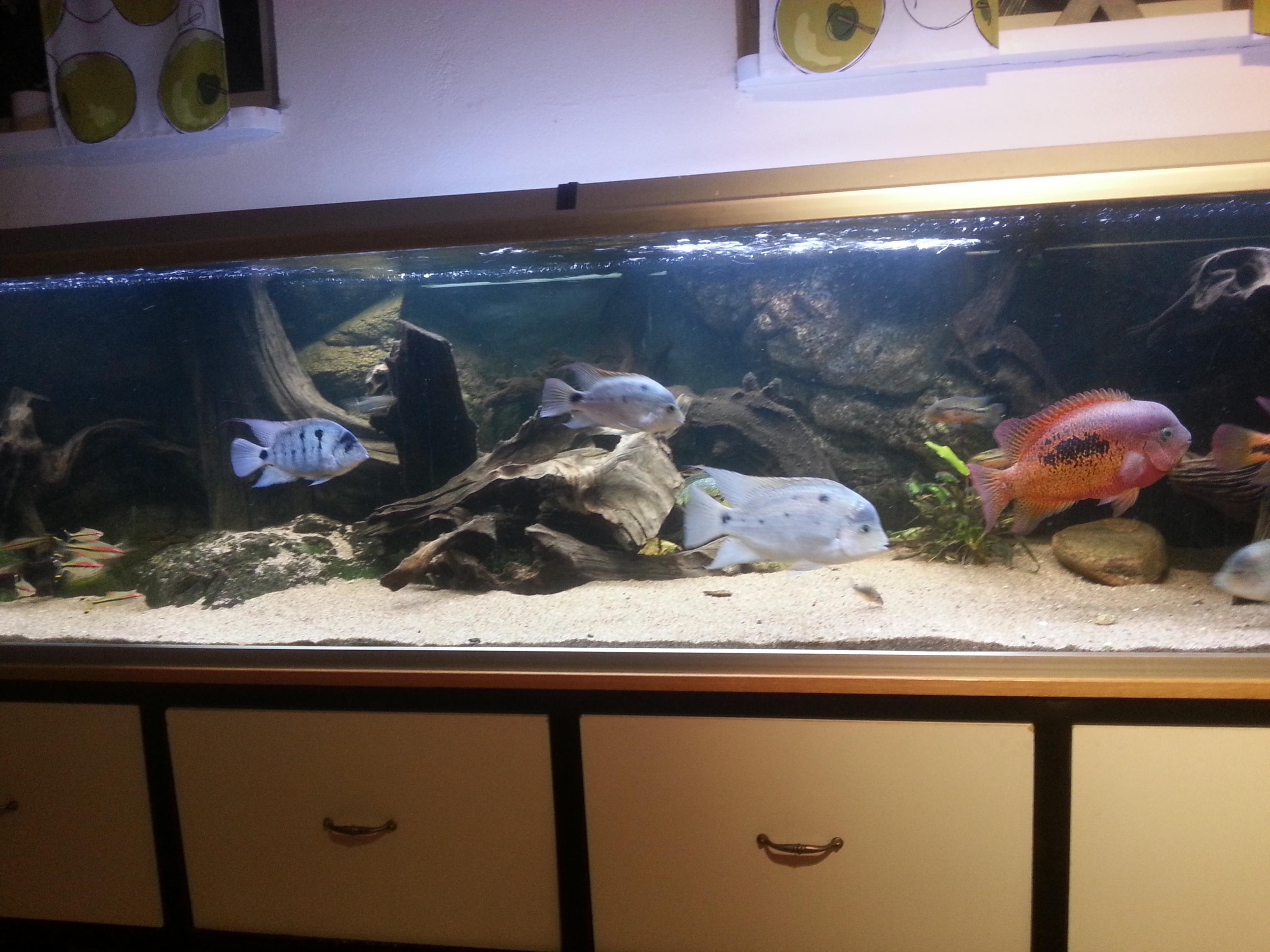 20121213_231504.jpg