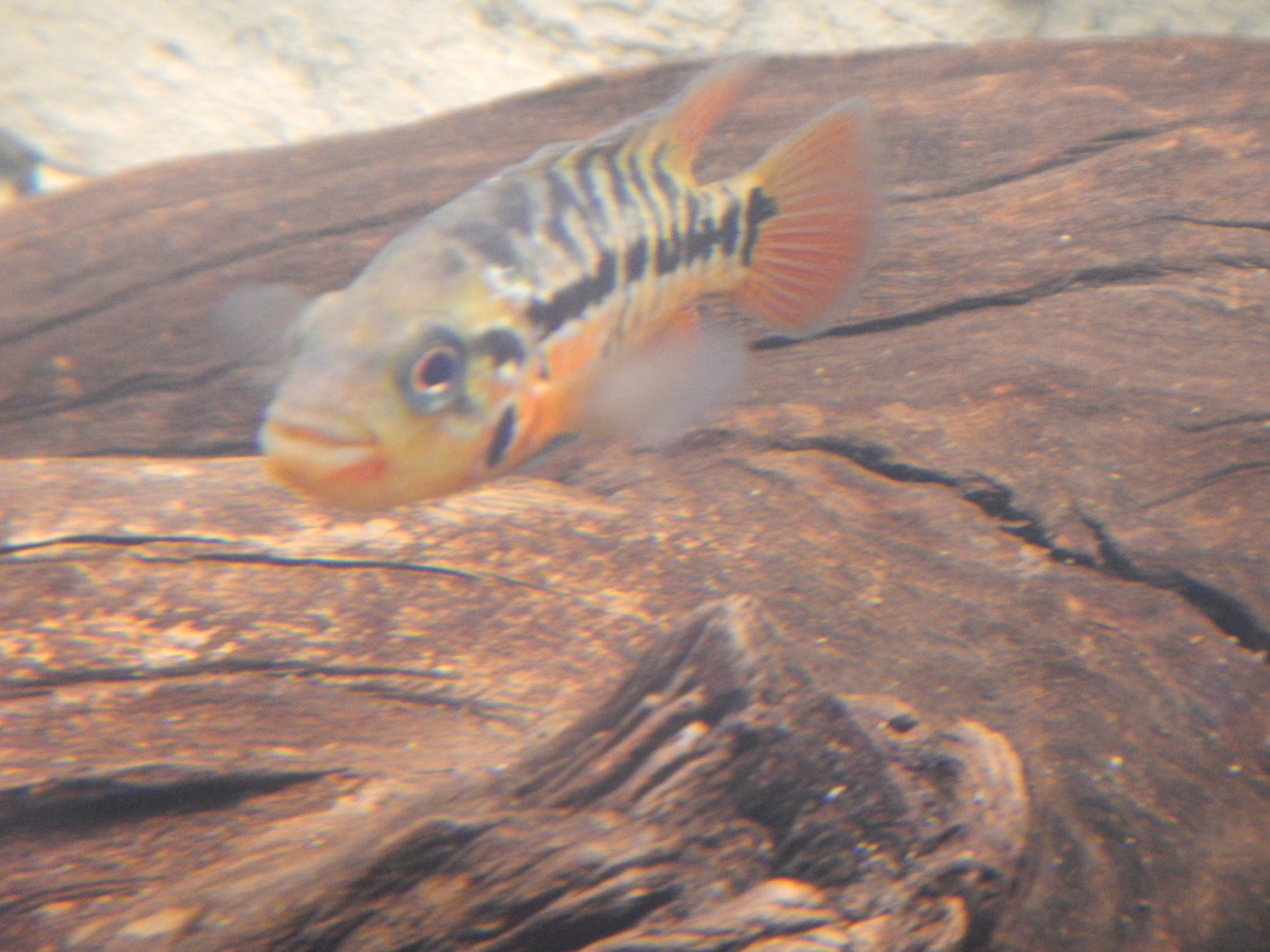 DSCN2354.jpg
