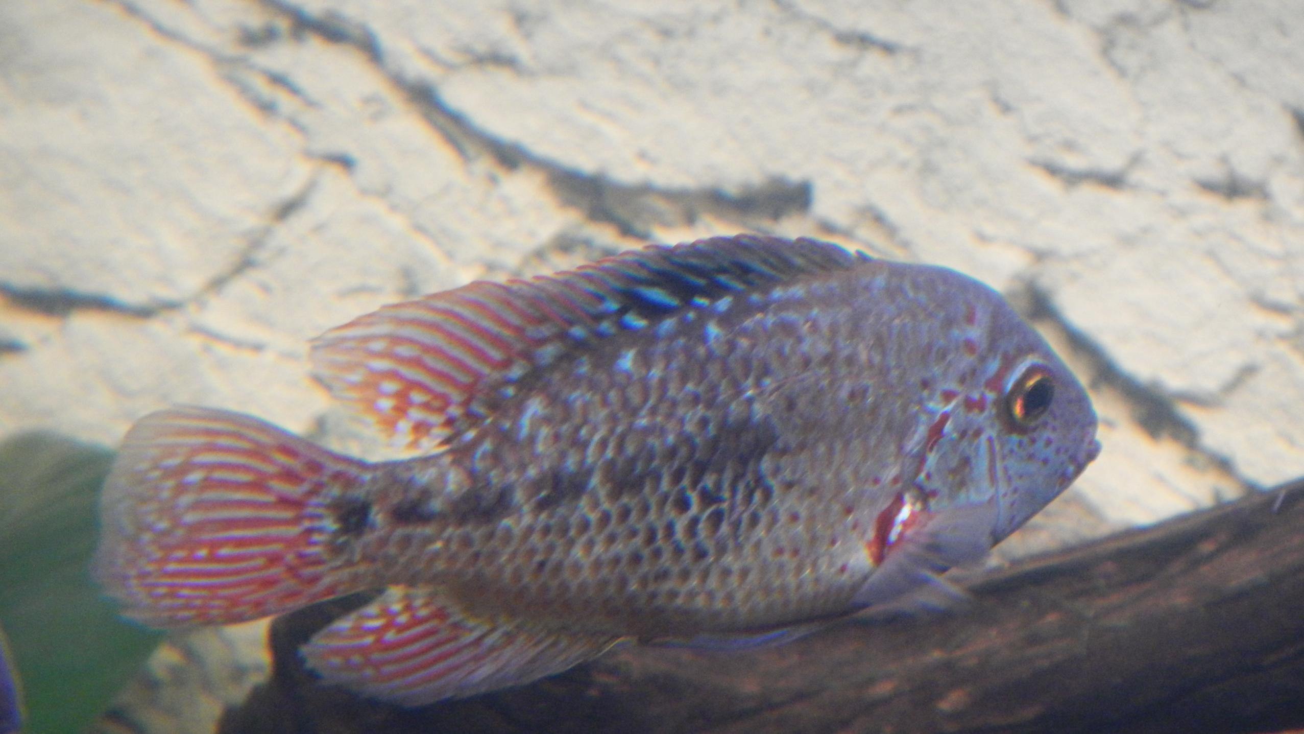 DSCN2308.jpg