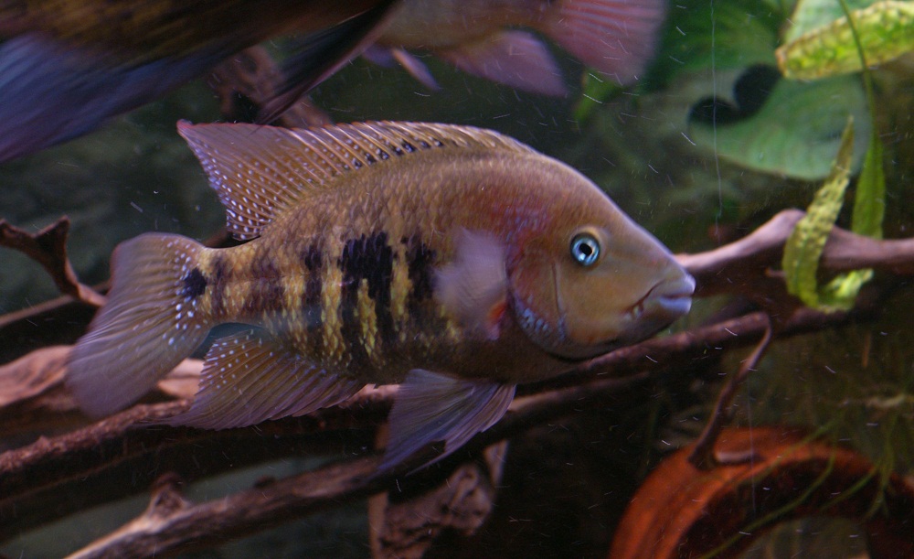 PICT7606.JPG