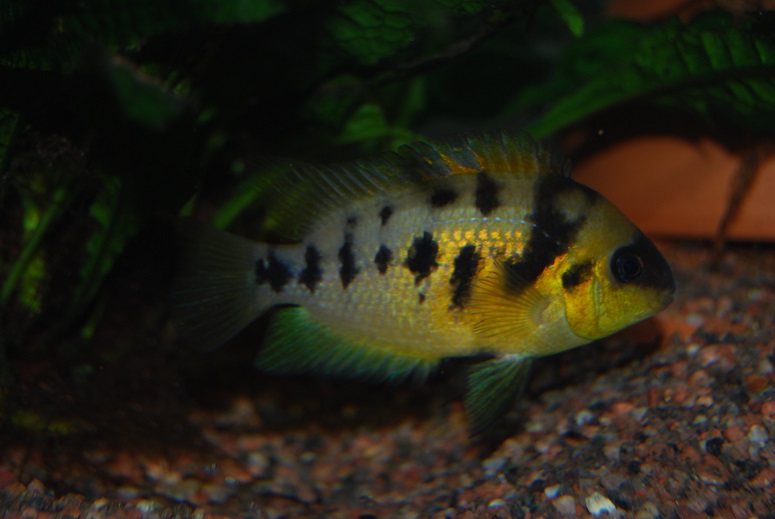 DSC_0004.jpg