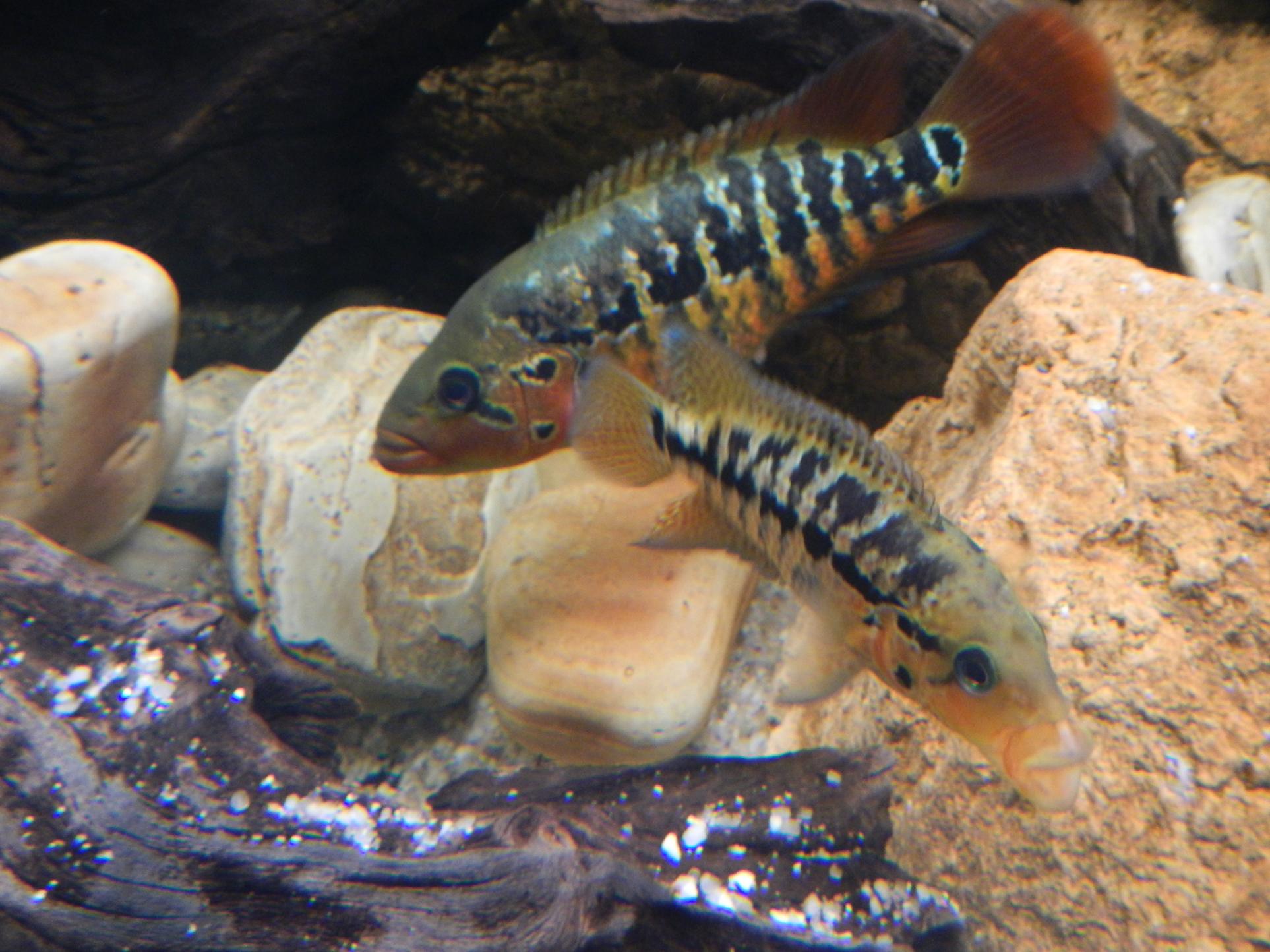 DSCN2550.jpg