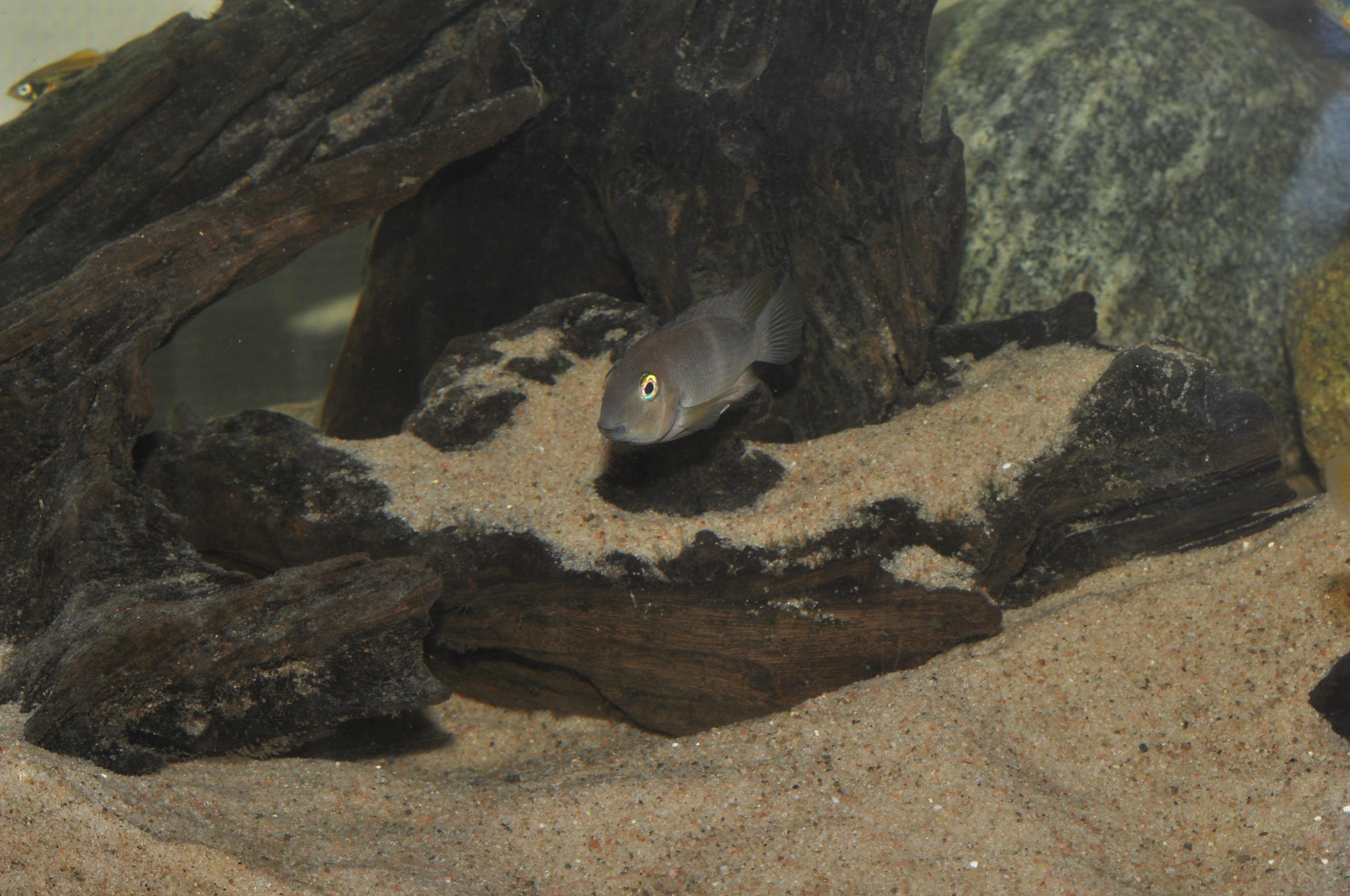 DSC_1056.jpg