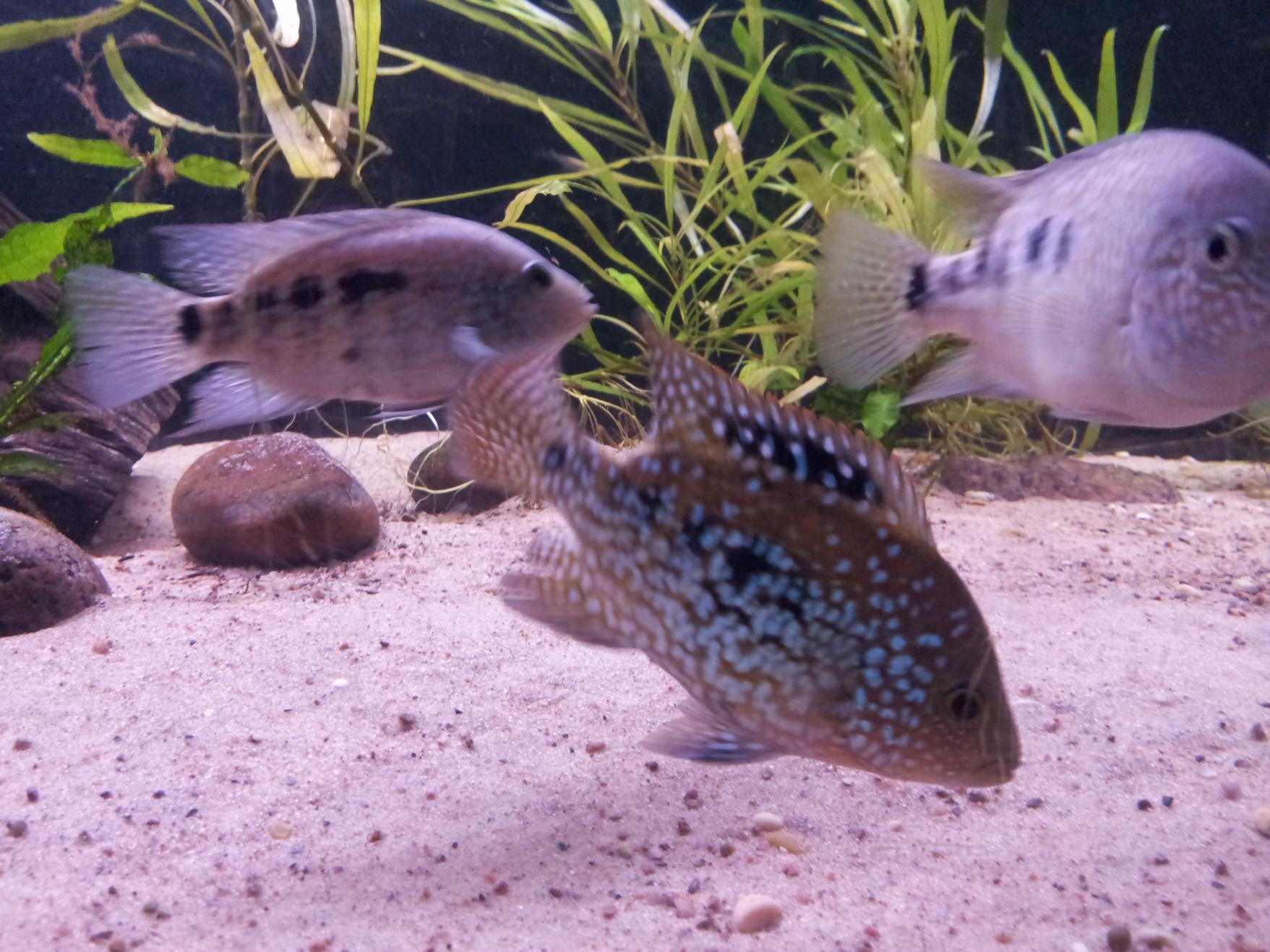 20131103_205812.jpg