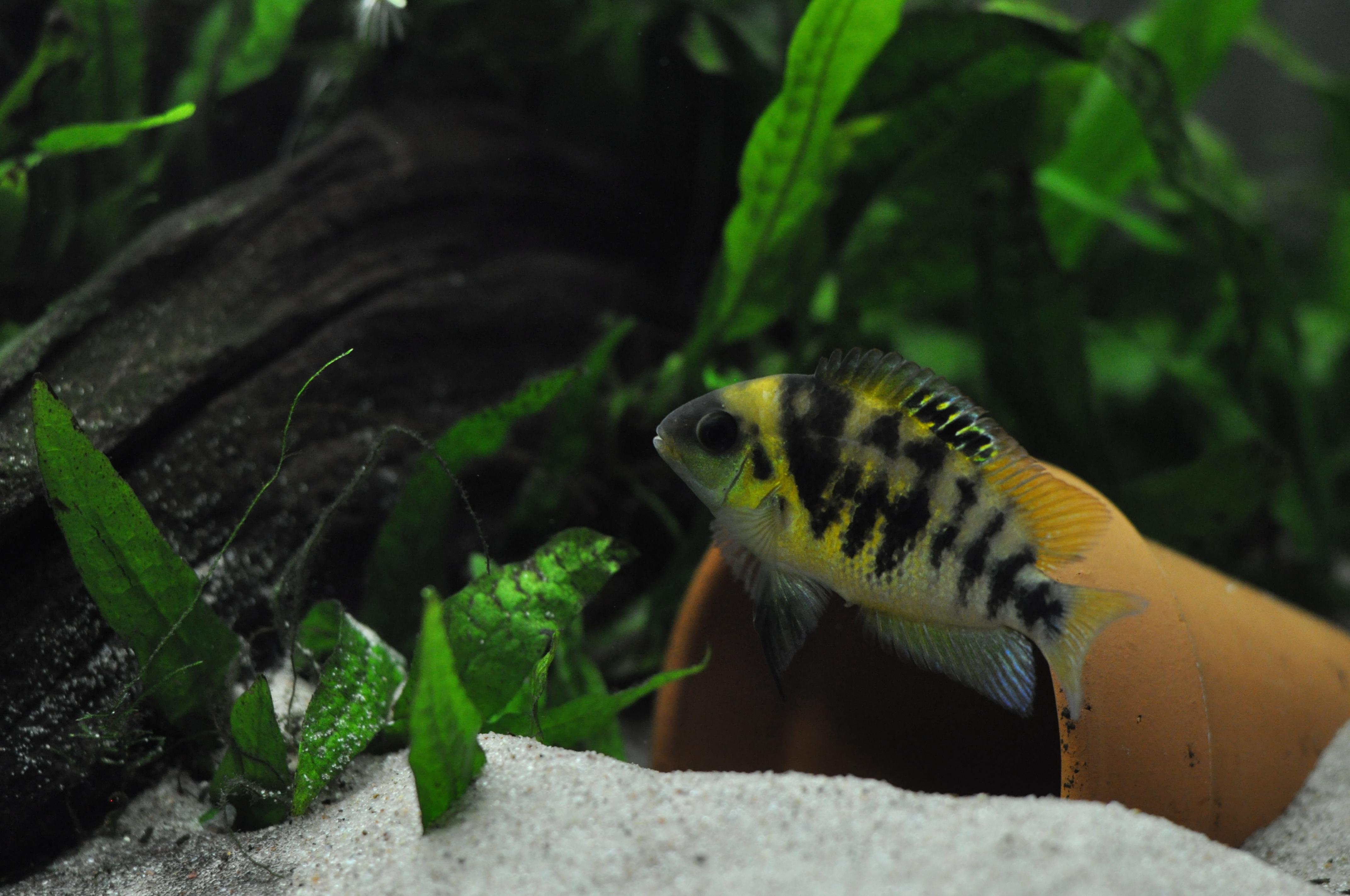 DSC_0571.jpg