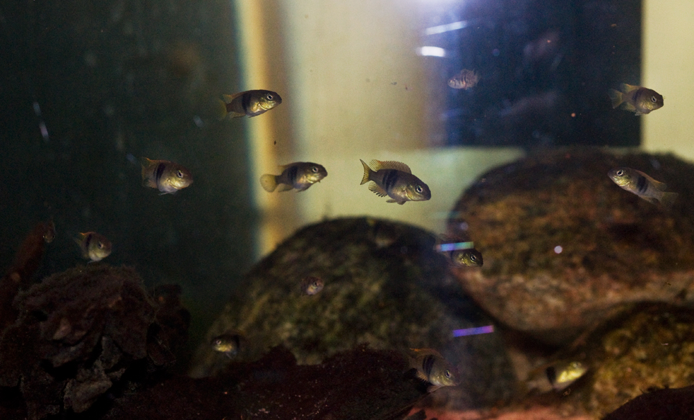 _DSC1649mx.jpg