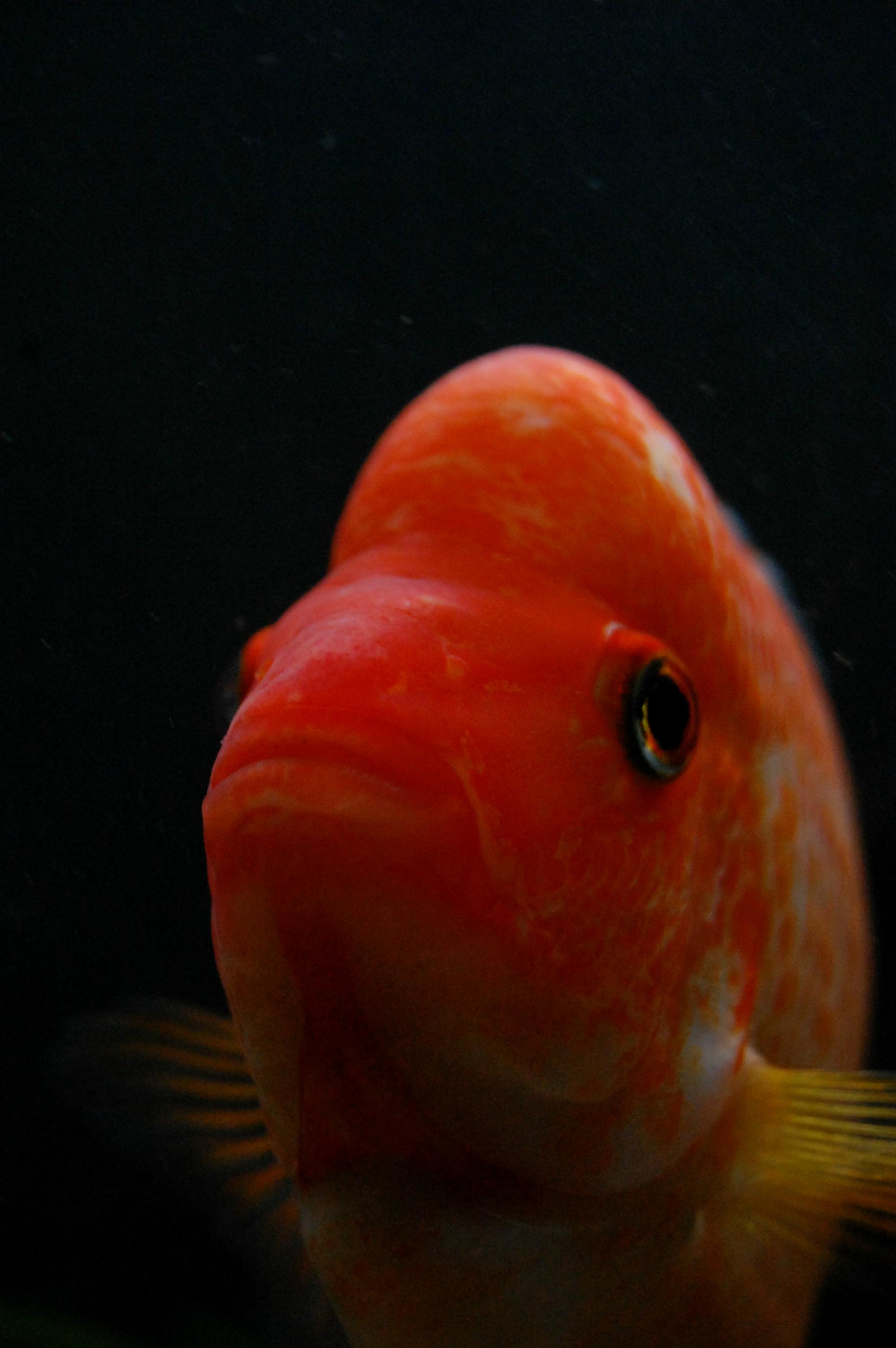 DSC_0047.jpg