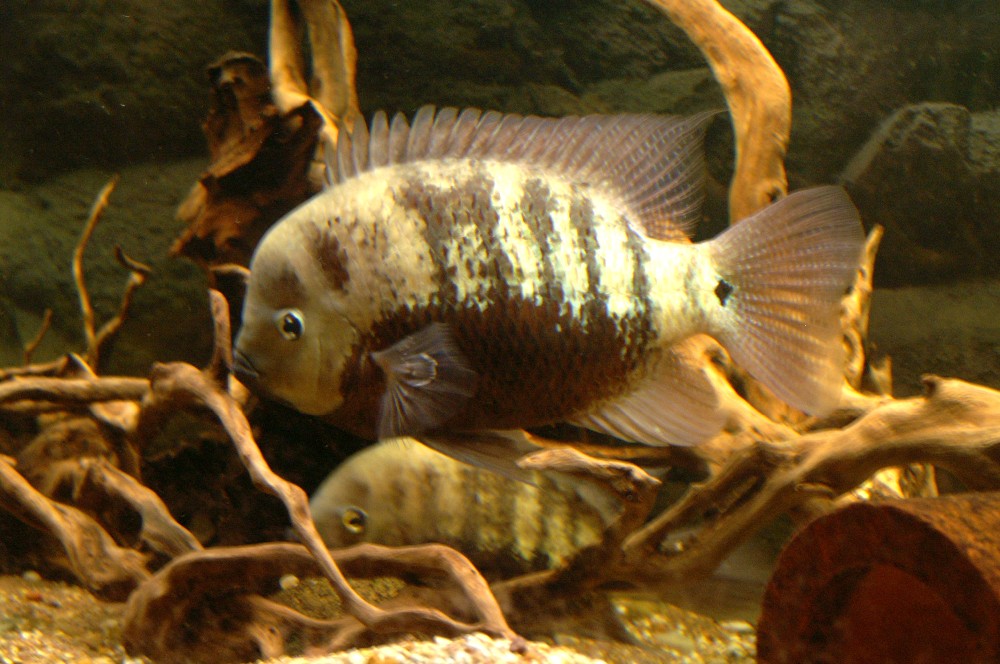 PICT5519.JPG