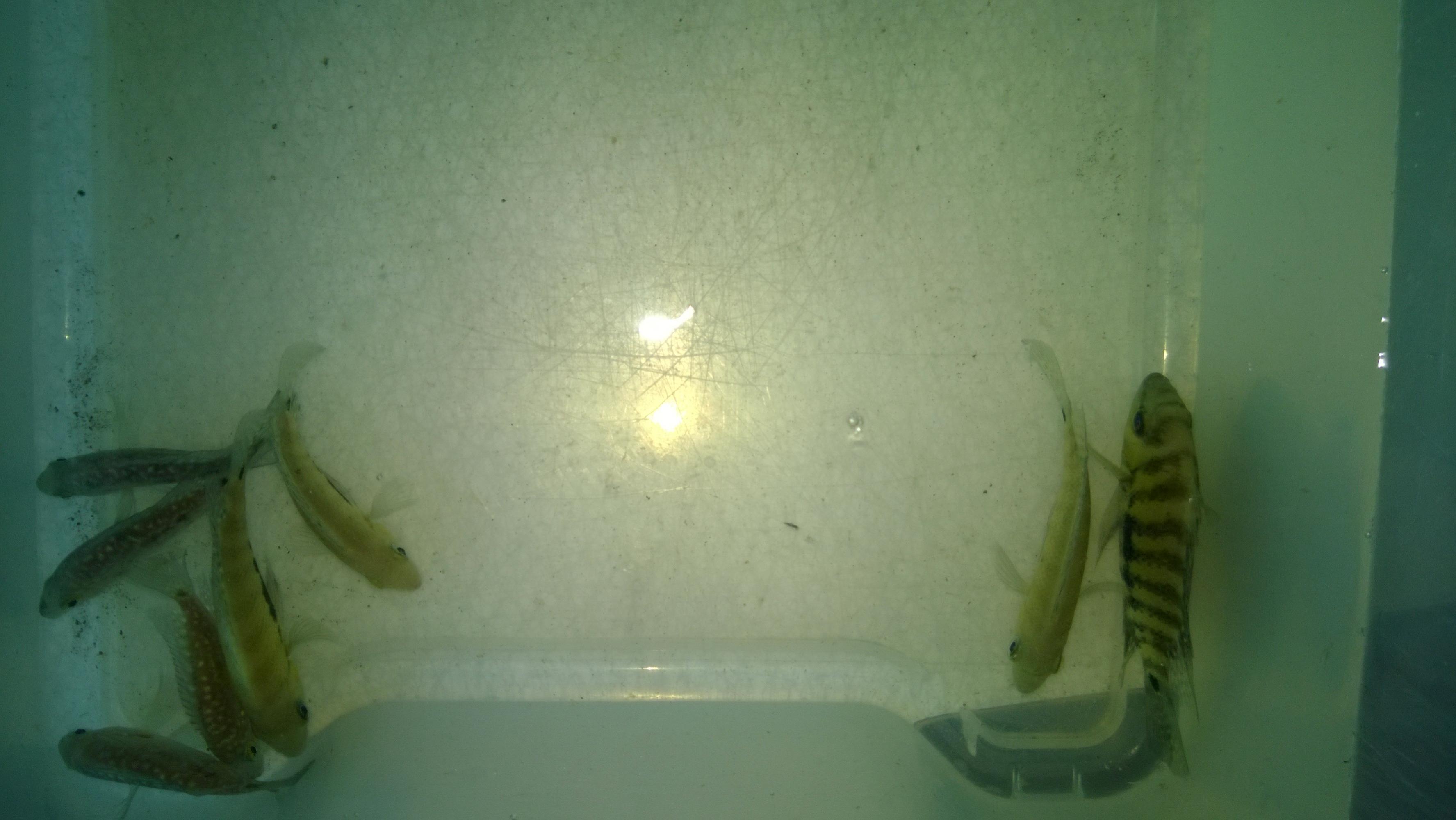 WP_20140529_004.jpg