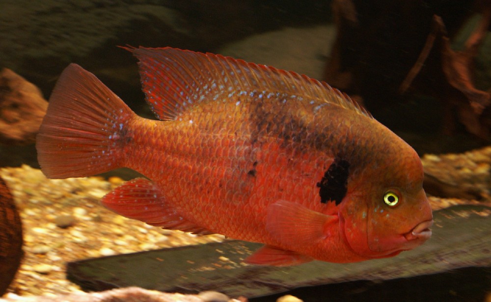 PICT5599.JPG