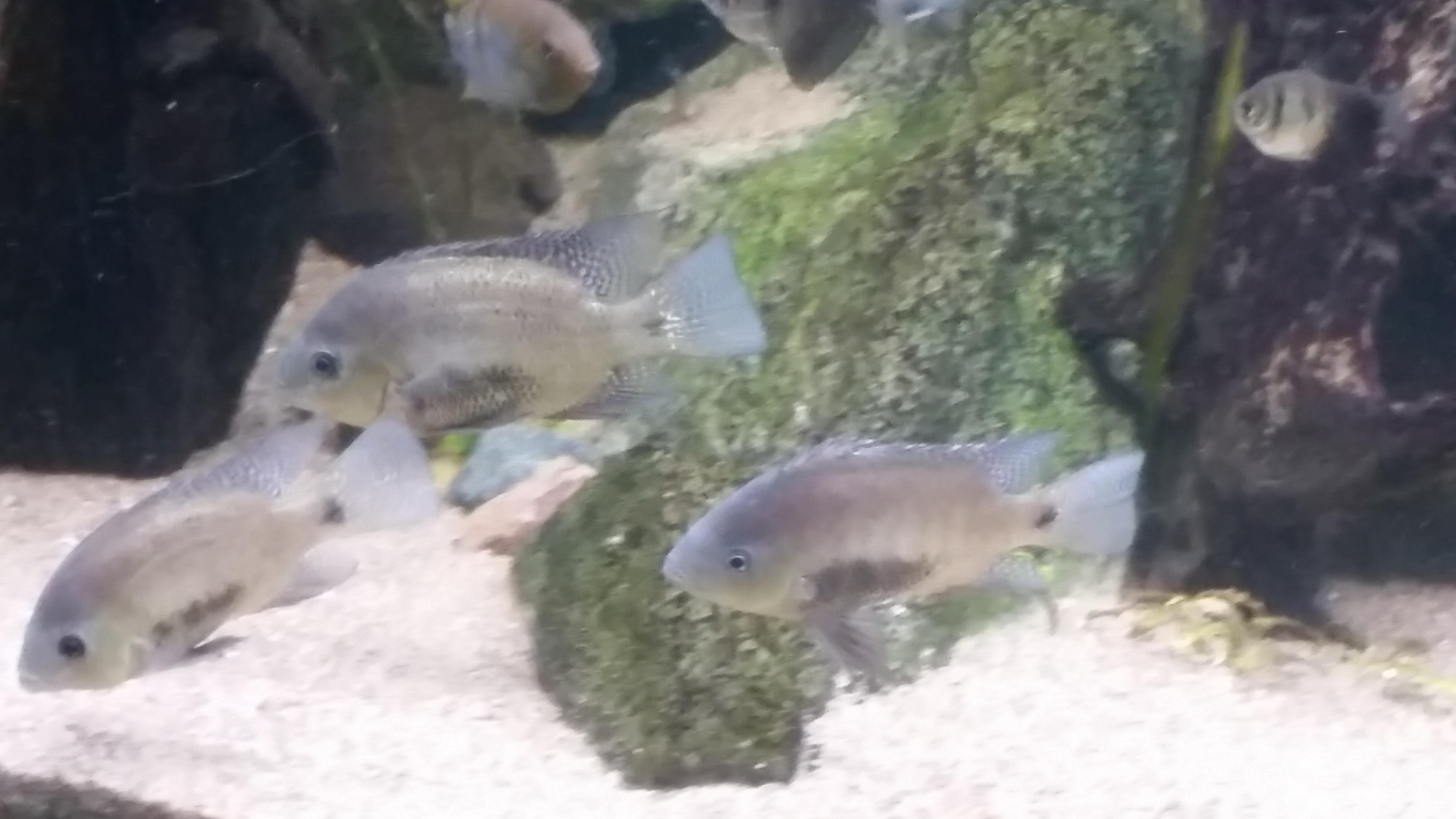 20150321_161308.jpg