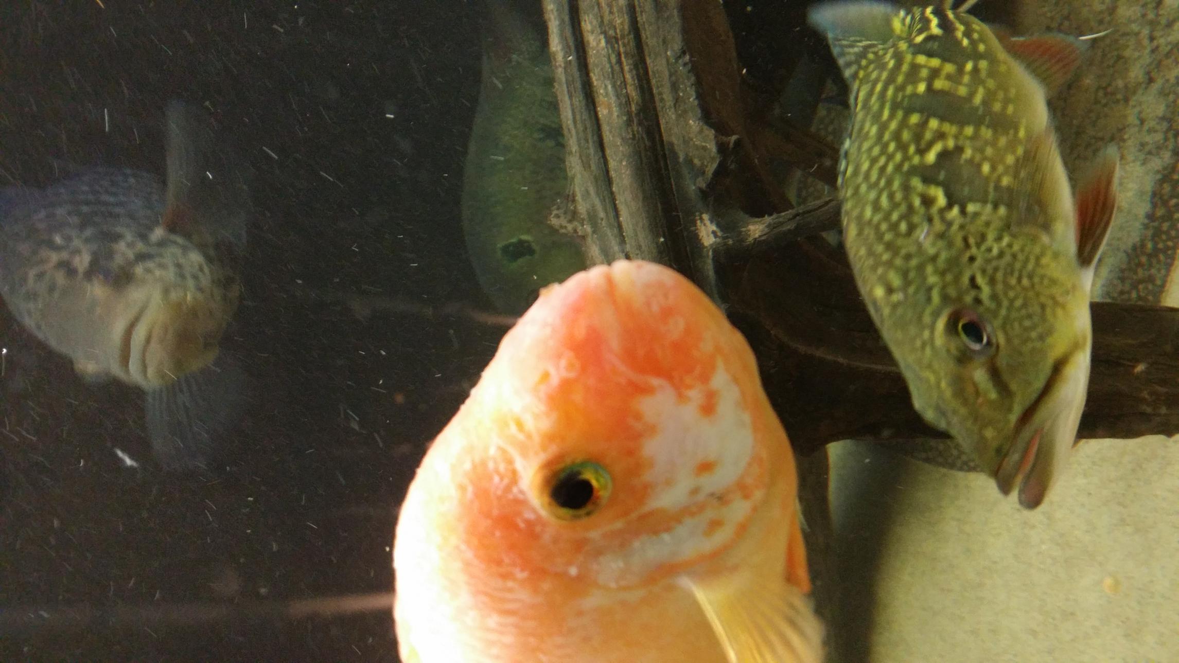 20150111_154330.jpg