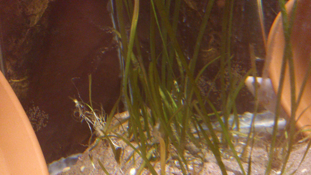 DSC_0687.jpg