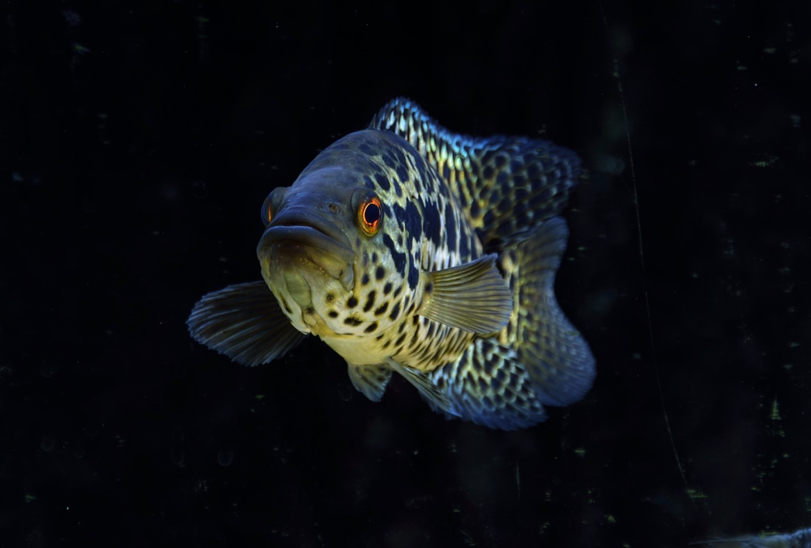 editnikon 061_010-2.jpg