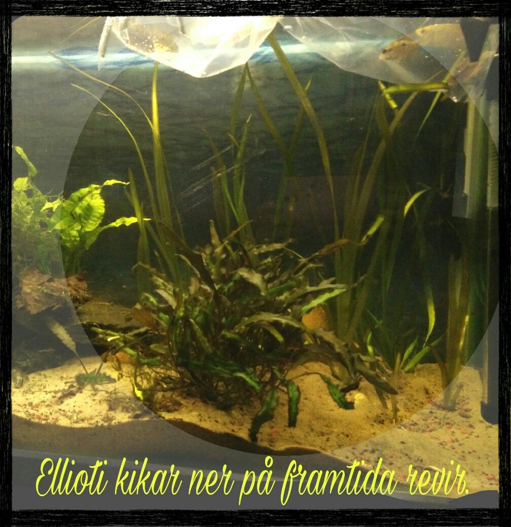 PicsArt_12-31-01.44.16.jpg
