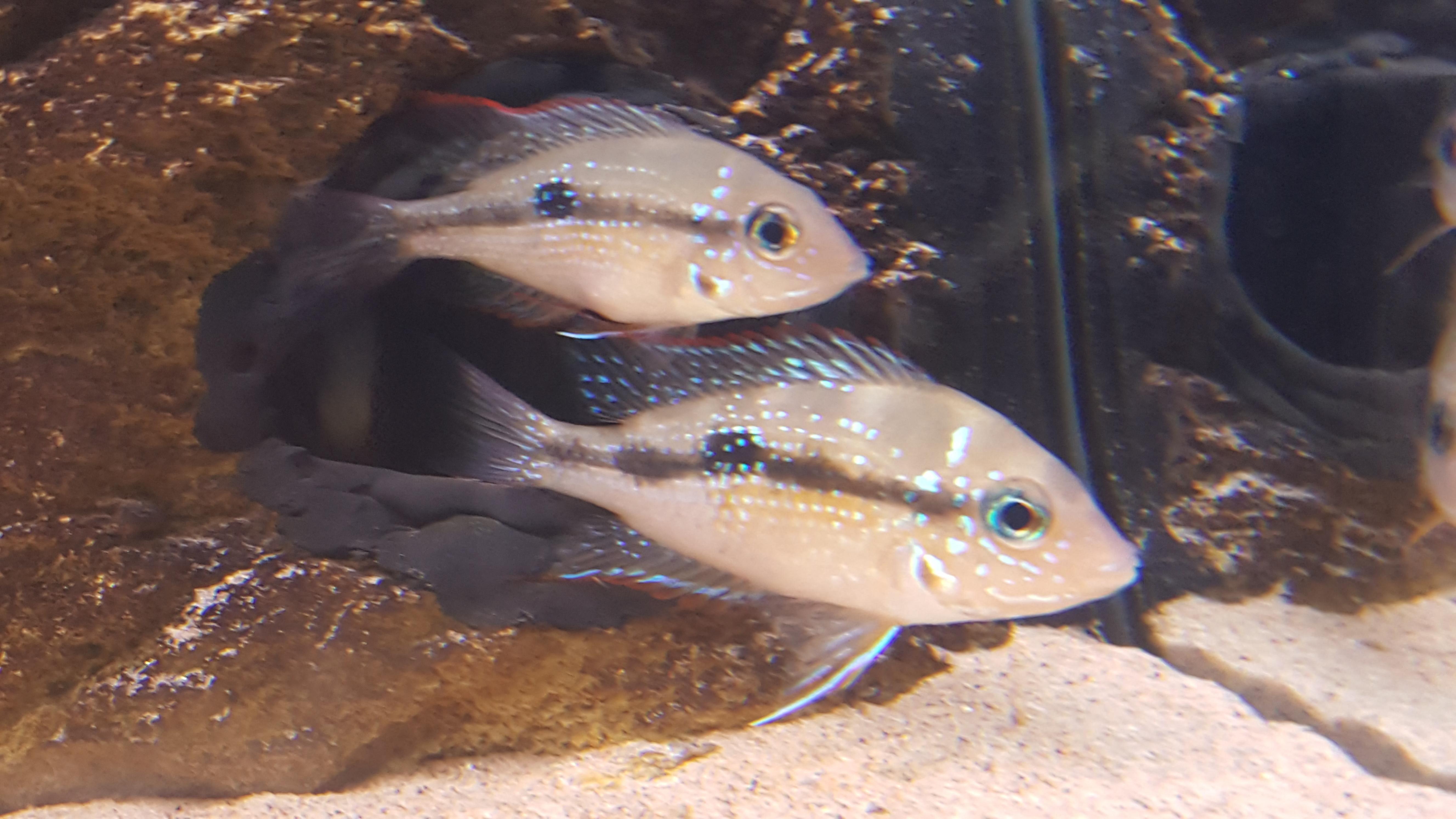 20160812_223342.jpg