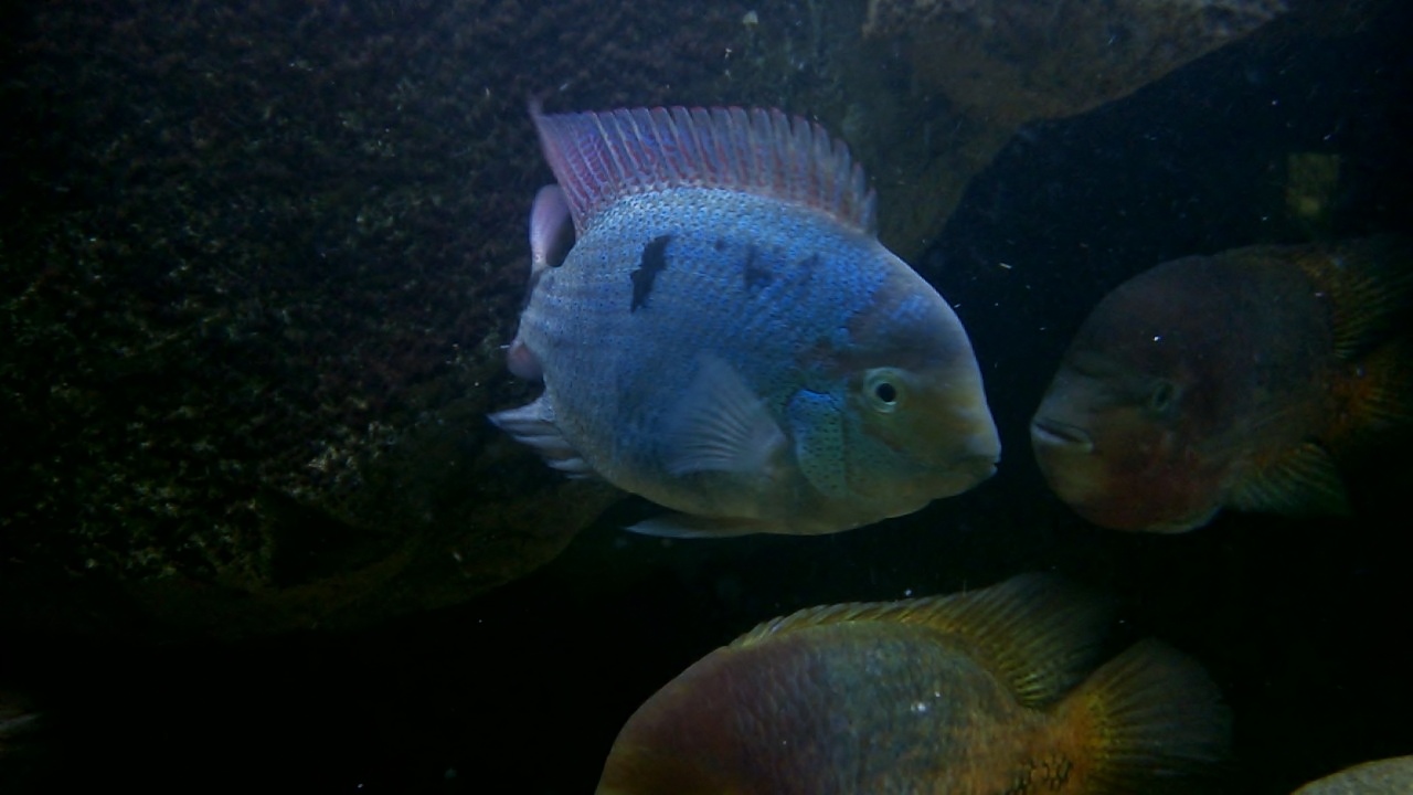 WP_20160427_007.jpg