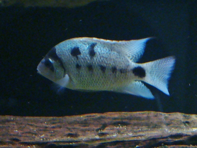 DSC01562.JPG