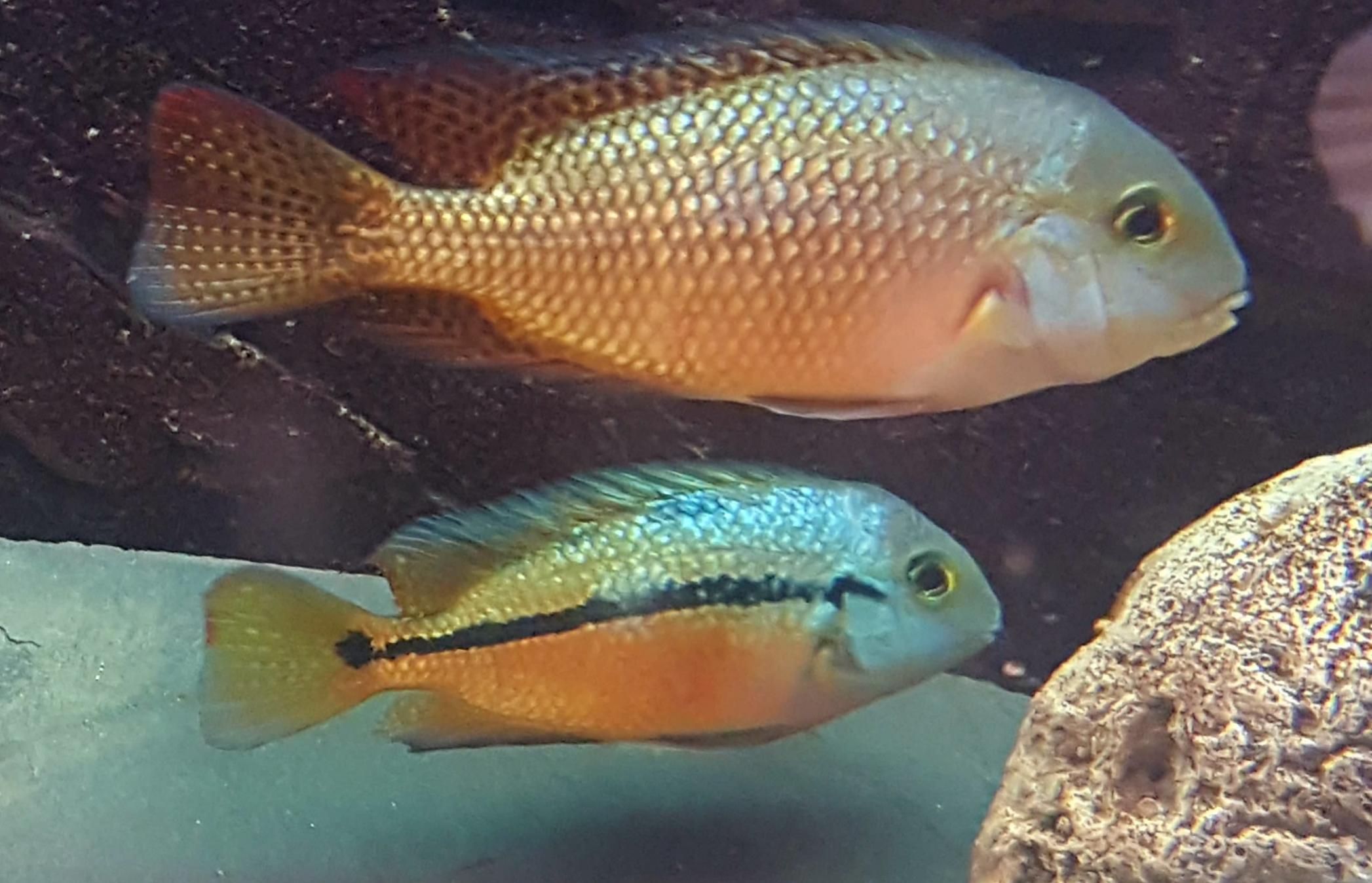 20171116_002156.jpg