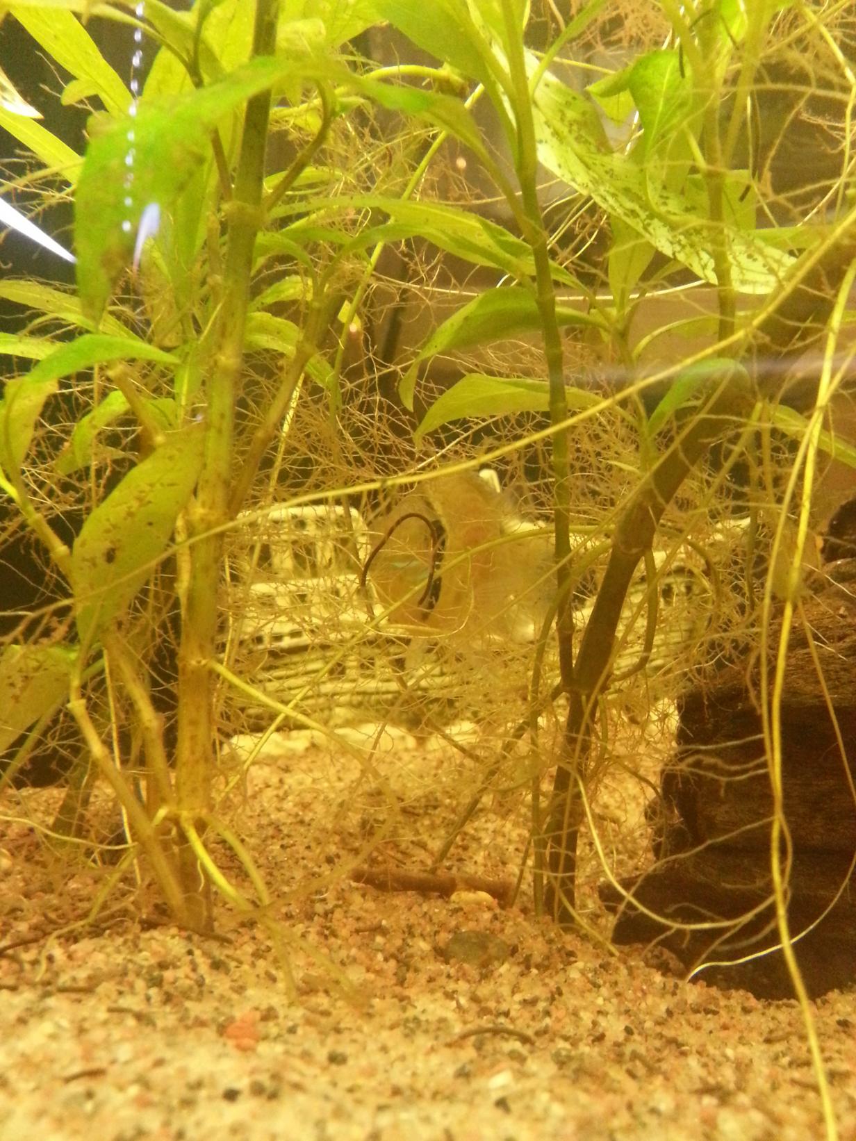20121222_120501.jpg