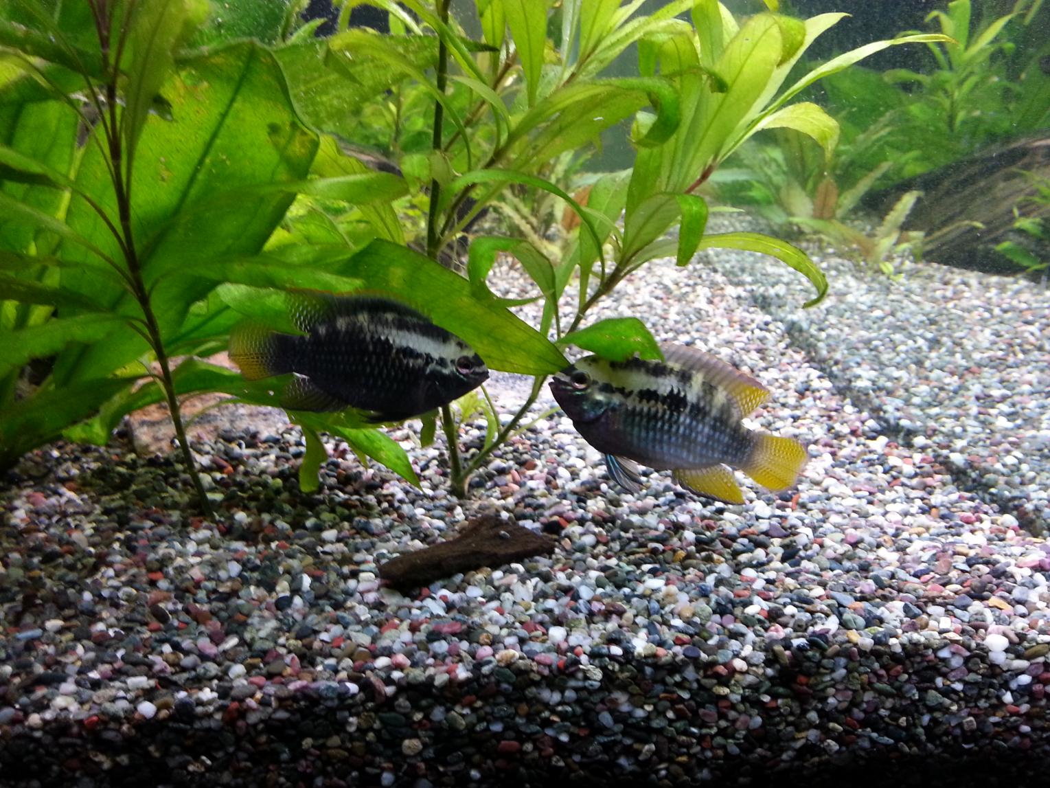 20130205_222308.jpg