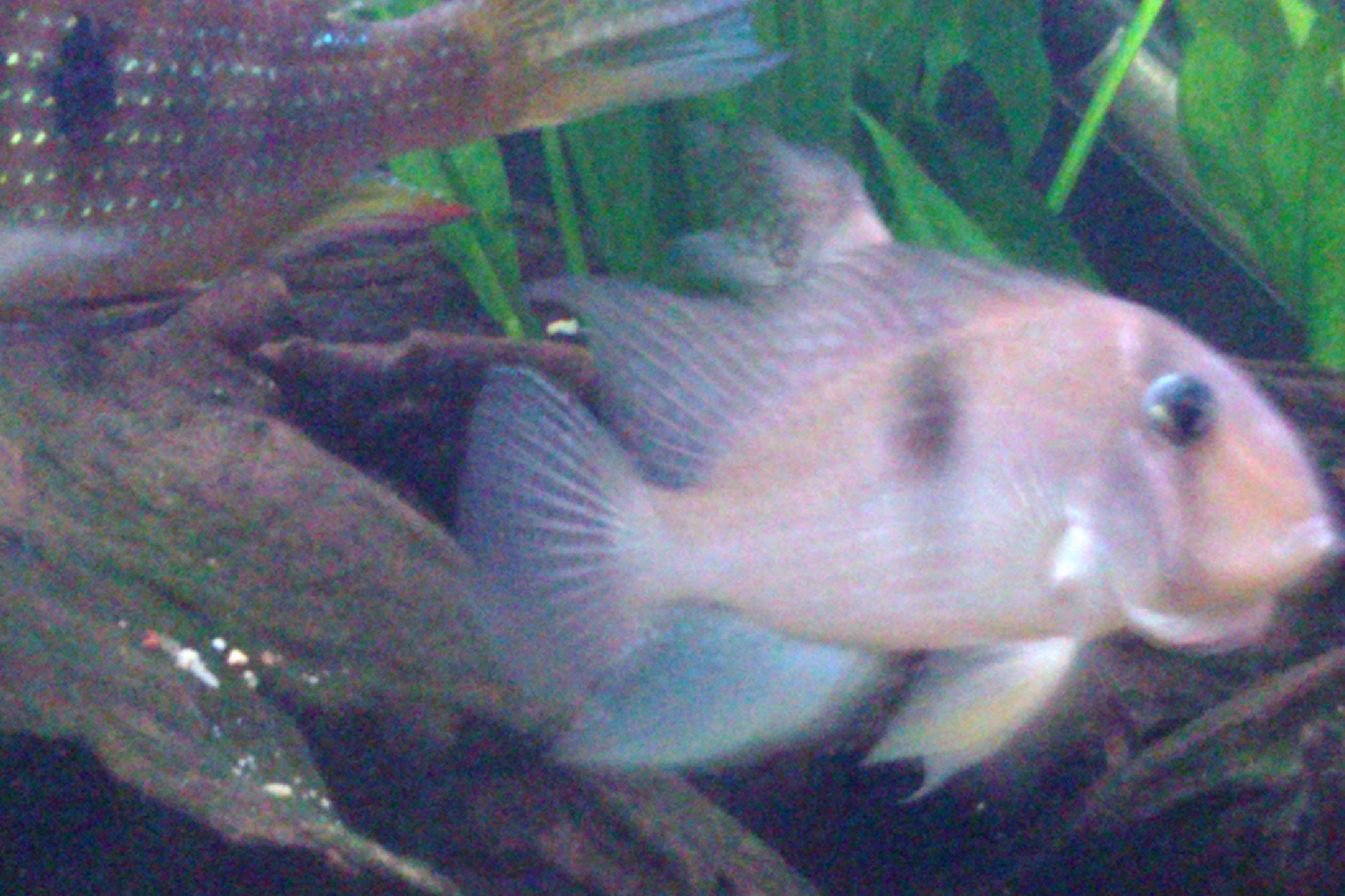 IMAG0807.jpg
