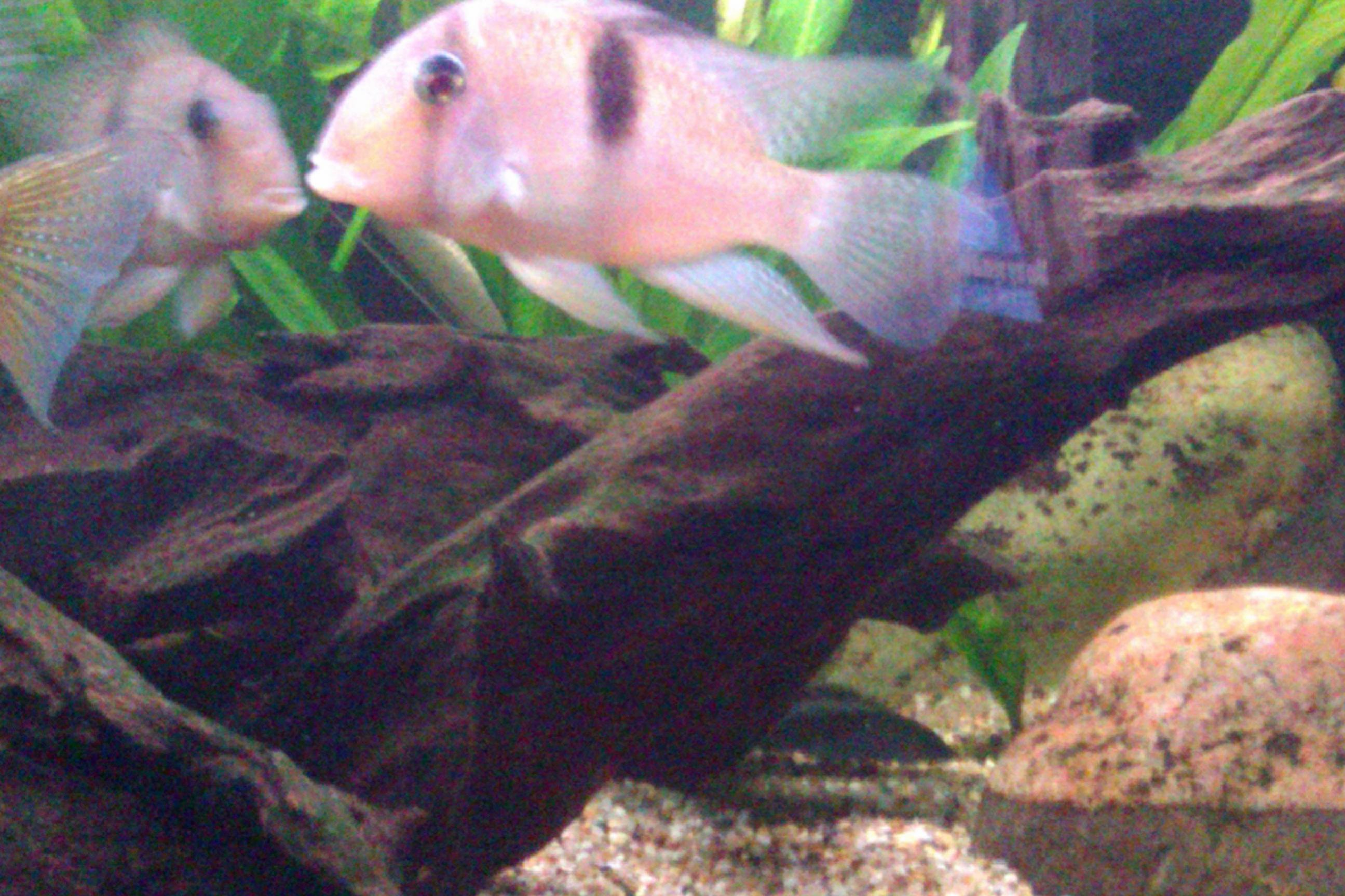 IMAG0808.jpg