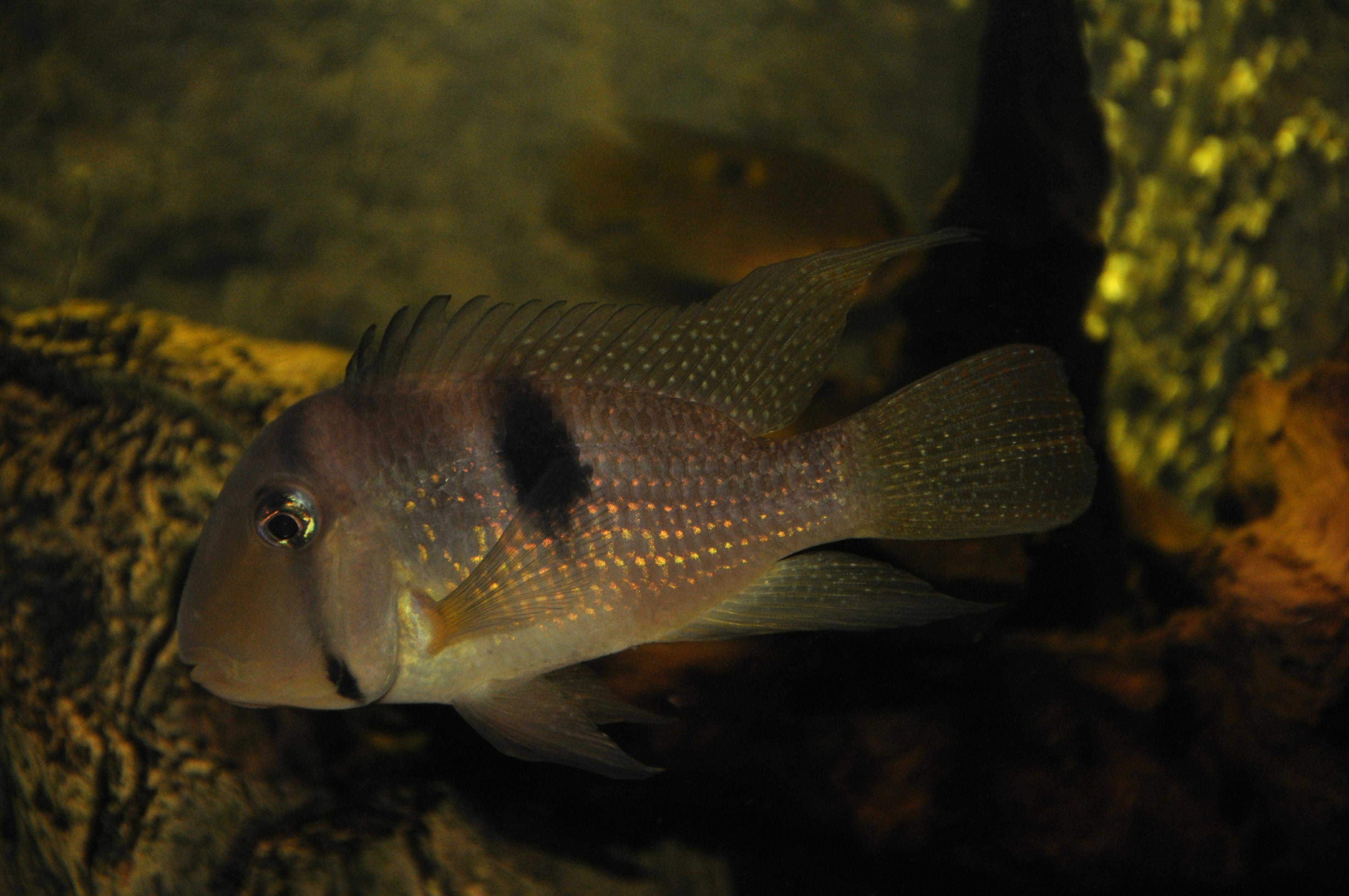 DSC_0566.jpg