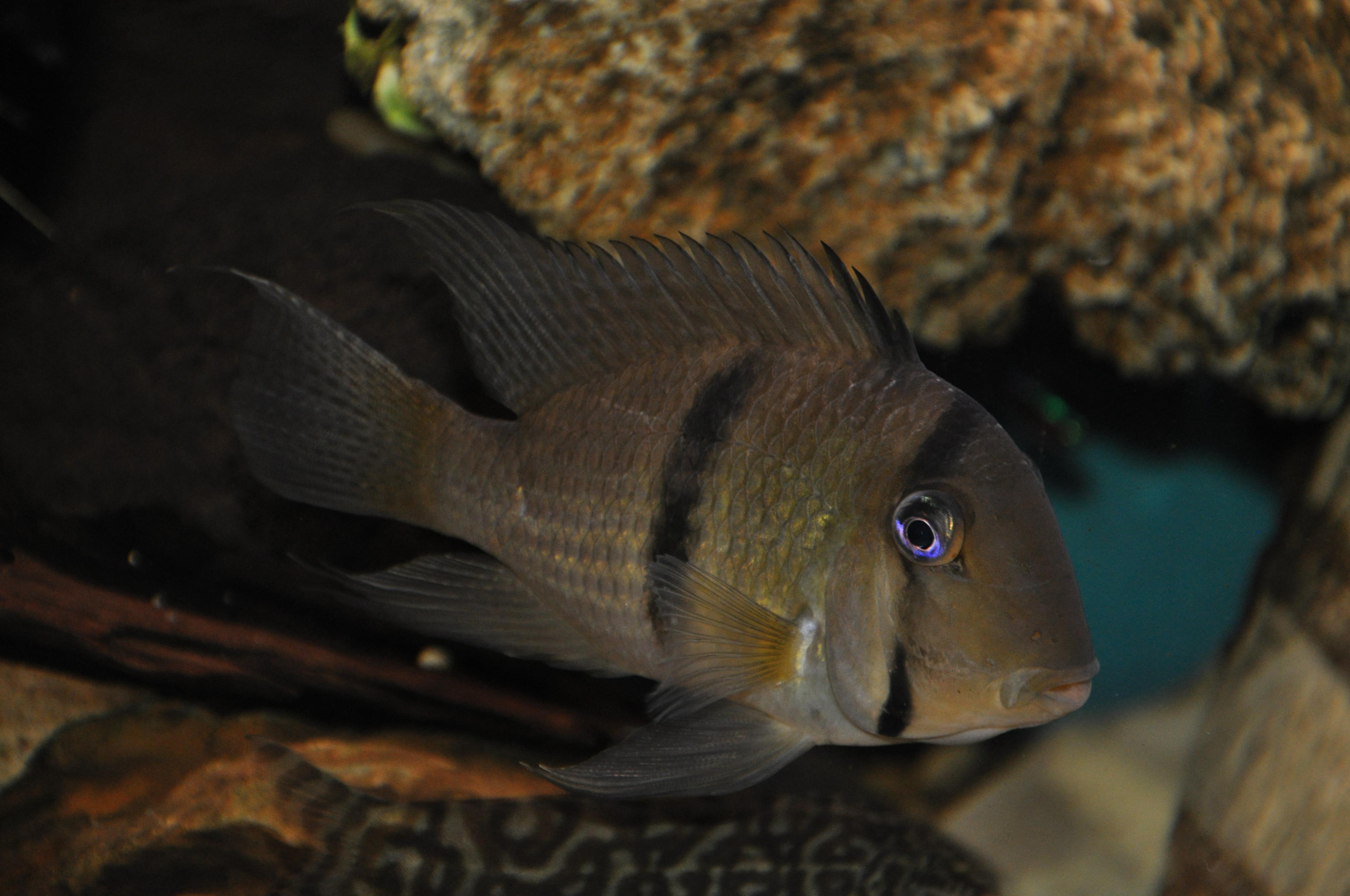DSC_0551.jpg