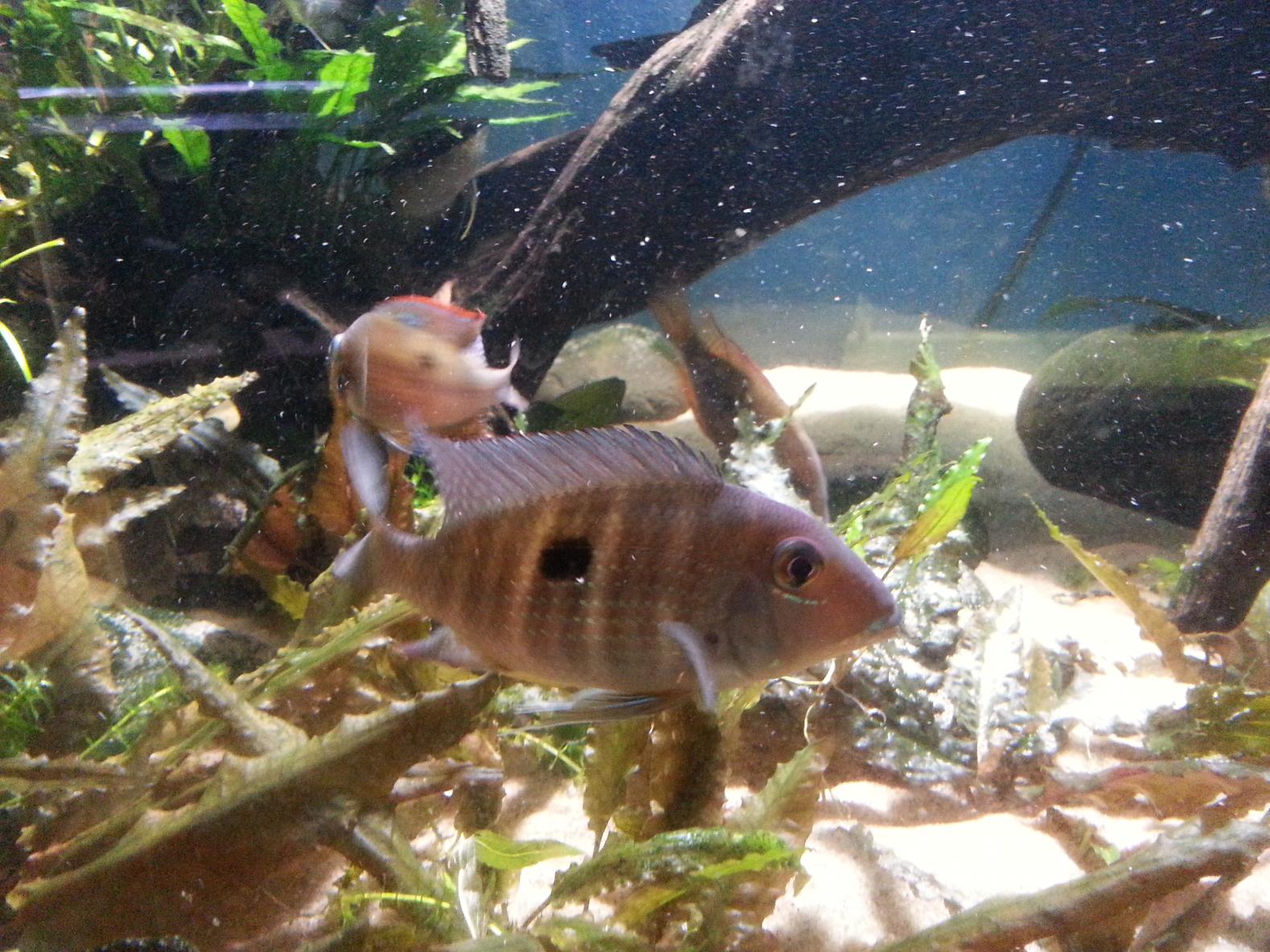 20130617_213223.jpg