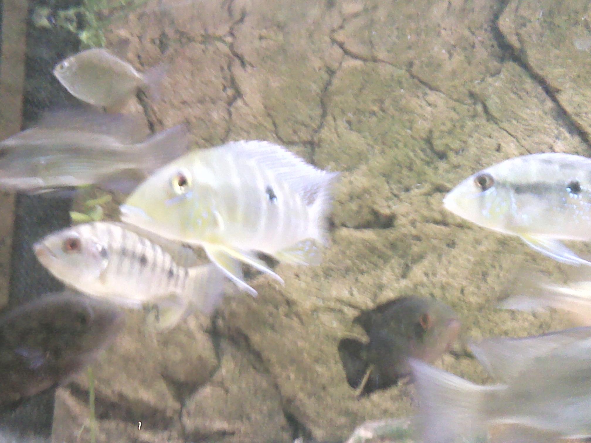 IMG_20130725_152048.jpg