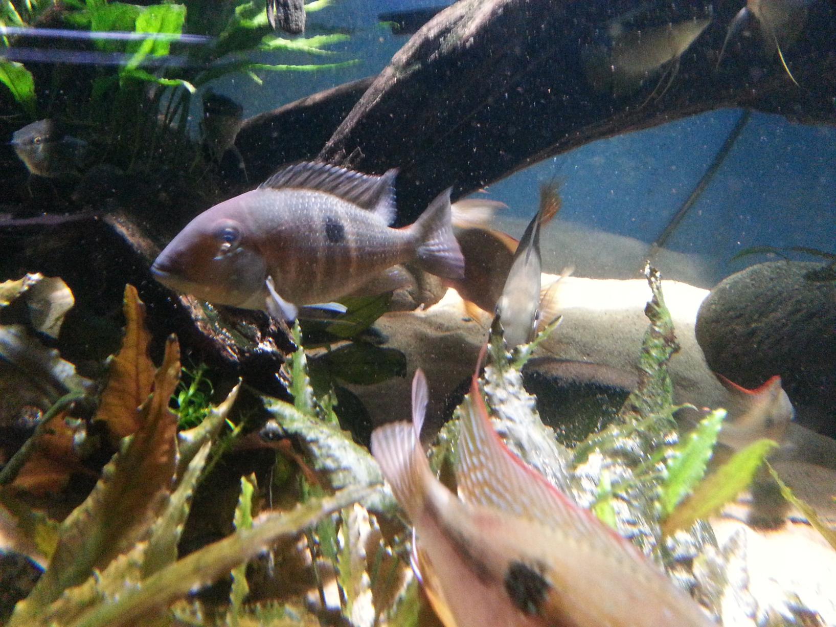 20130617_212651.jpg