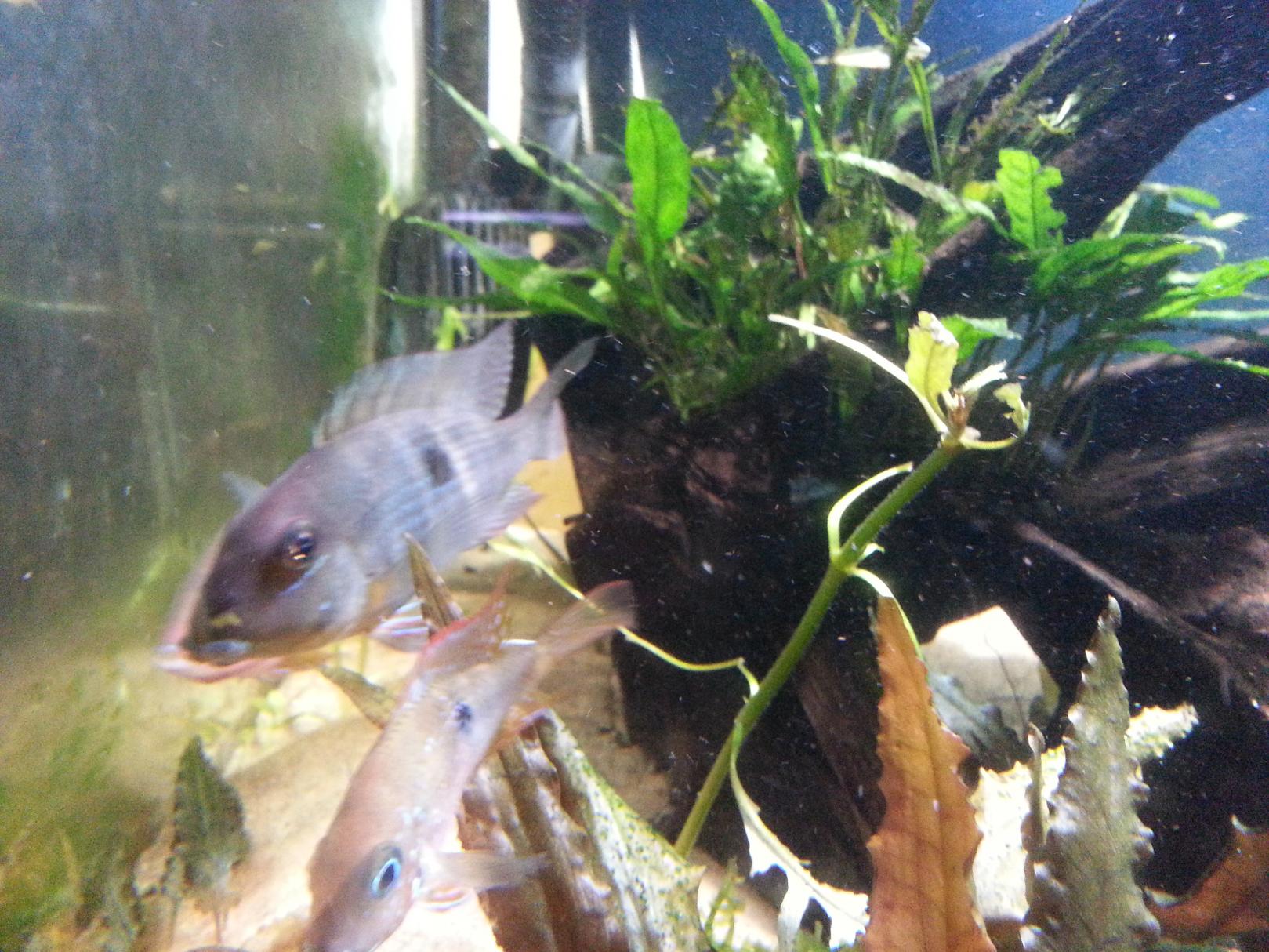 20130617_213329.jpg