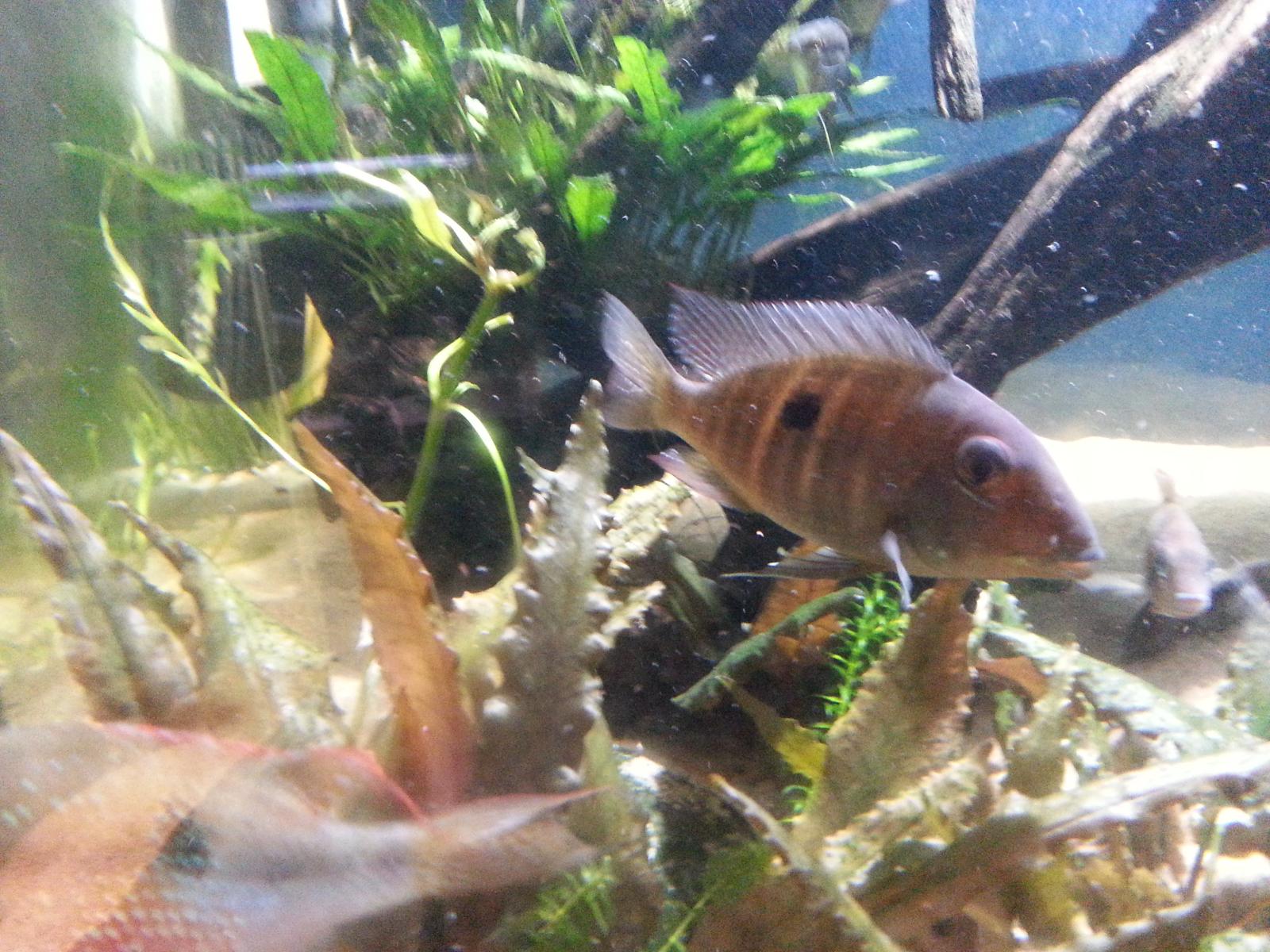 20130617_213244.jpg