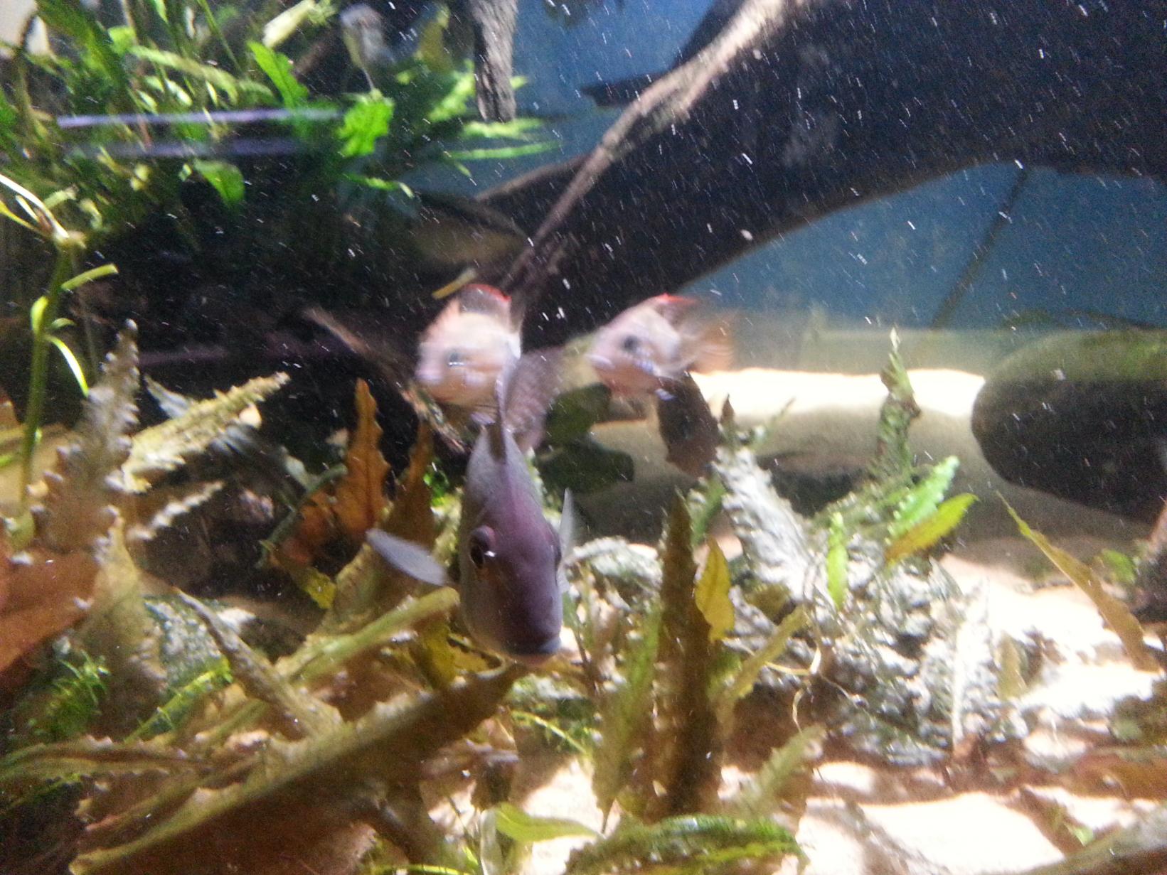 20130617_213222.jpg