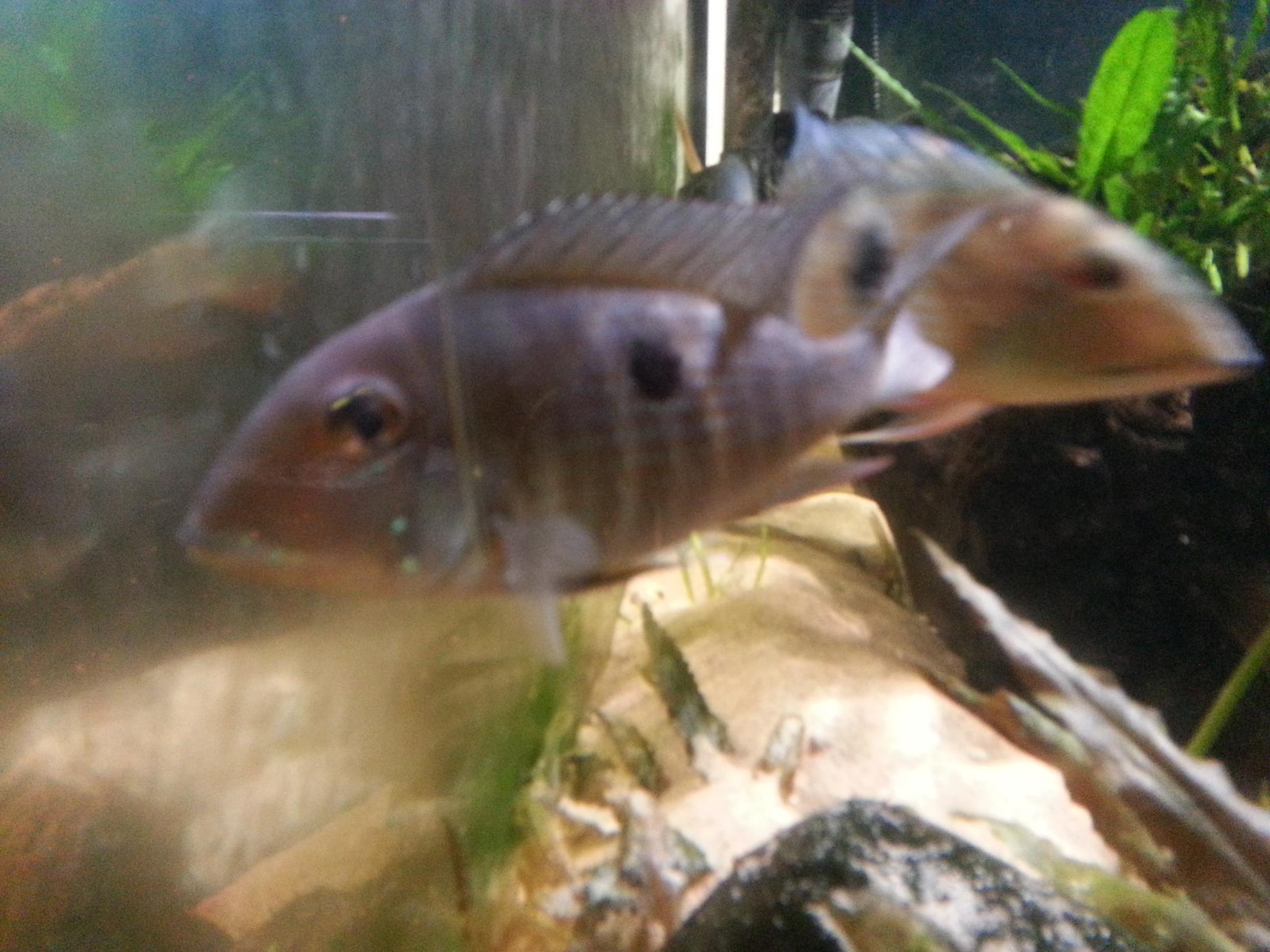 20130620_203501.jpg