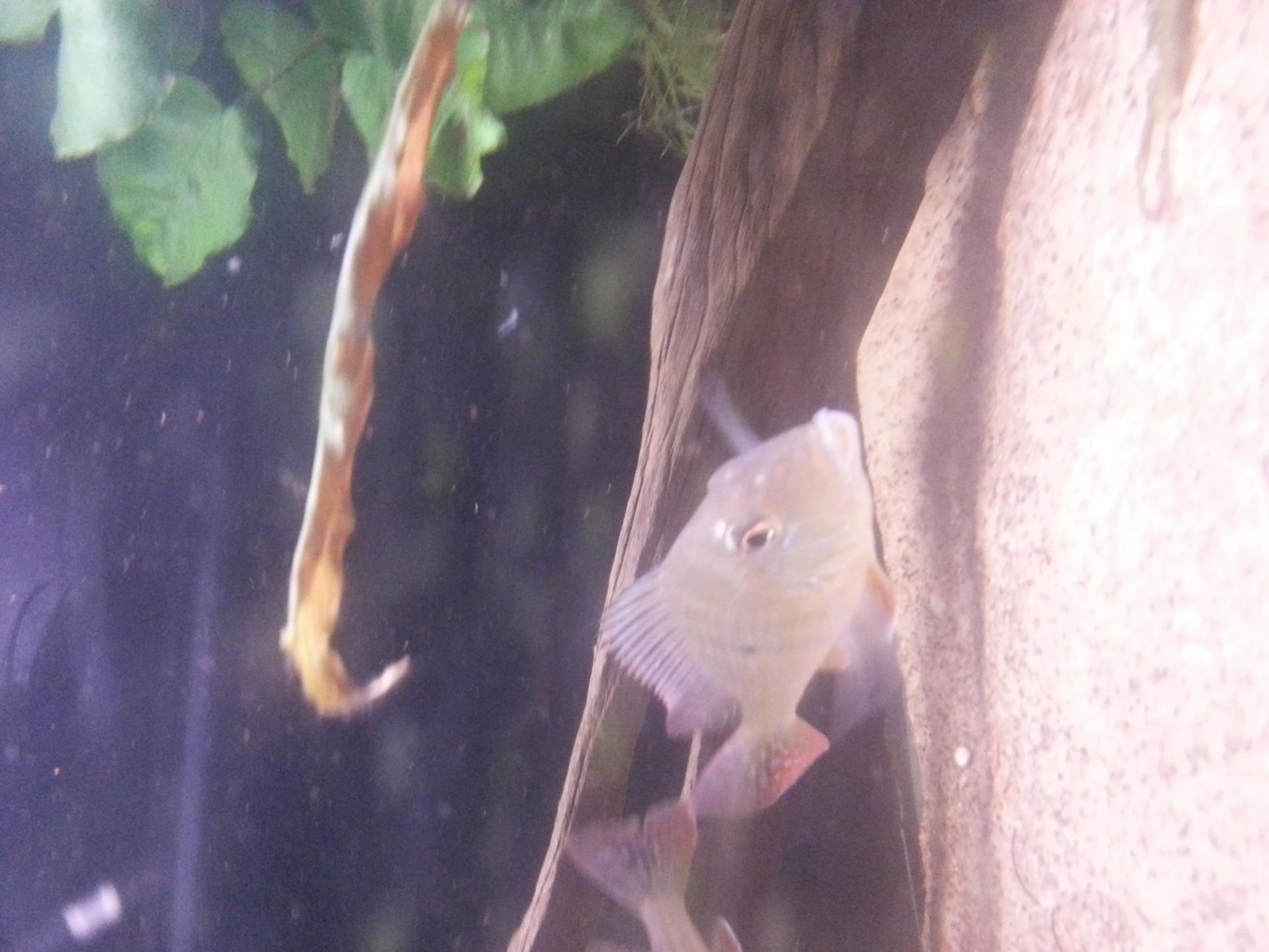 20130807_205905.jpg