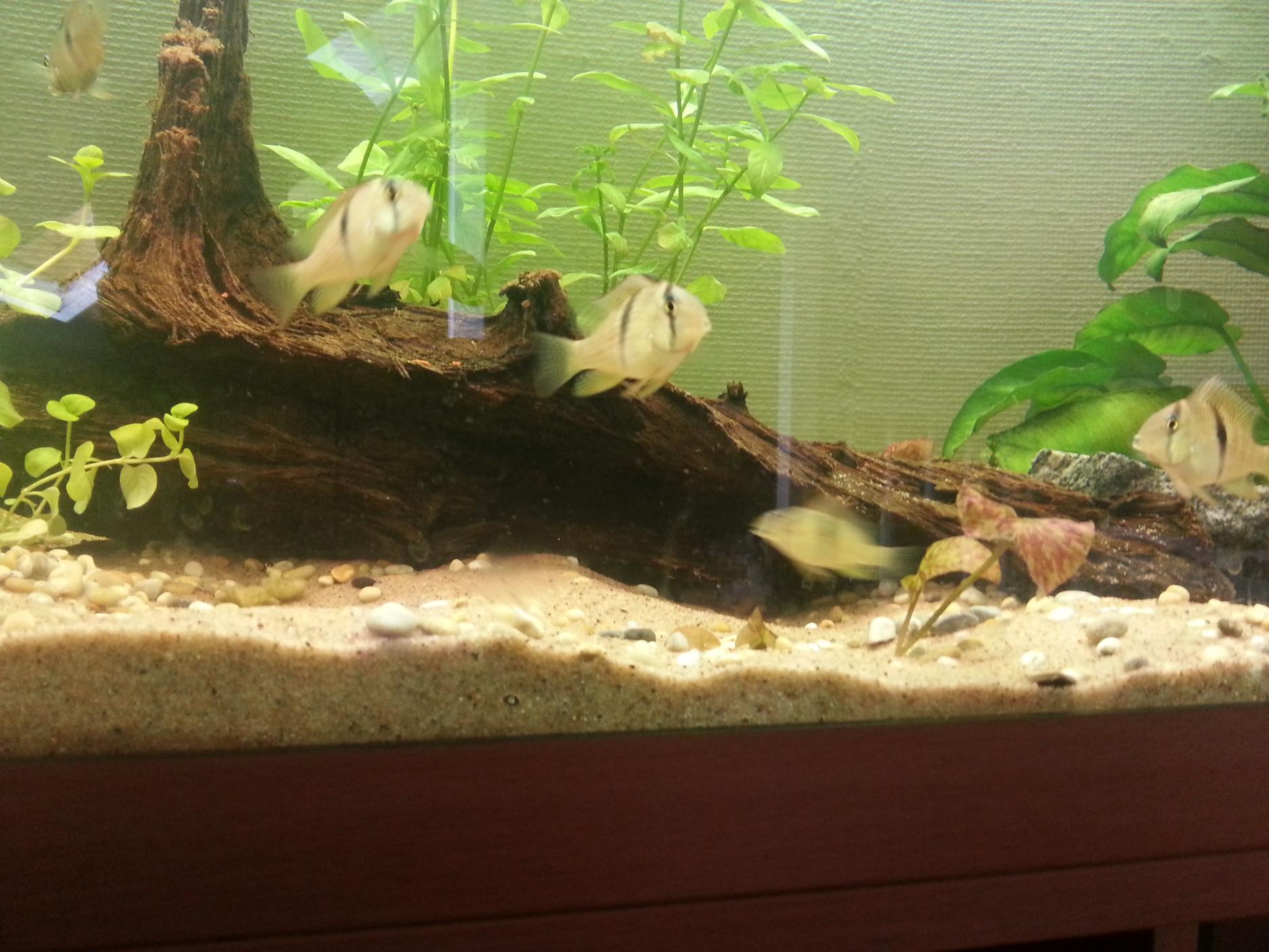 2013-07-28 13.57.16.jpg
