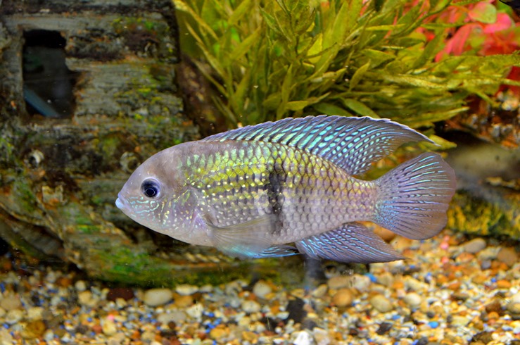 DSC_8046.JPG