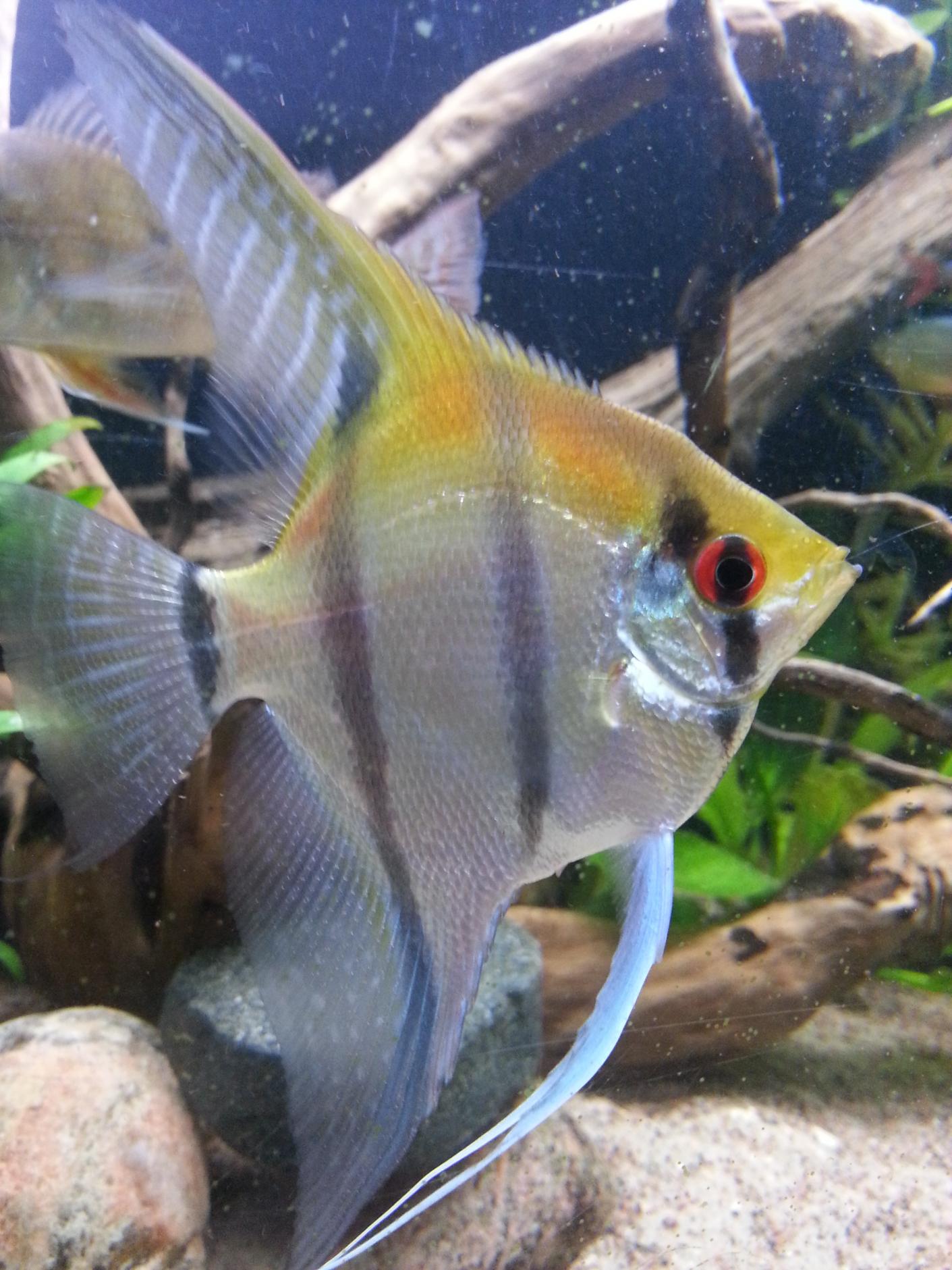 2013-09-09 20.52.30.jpg