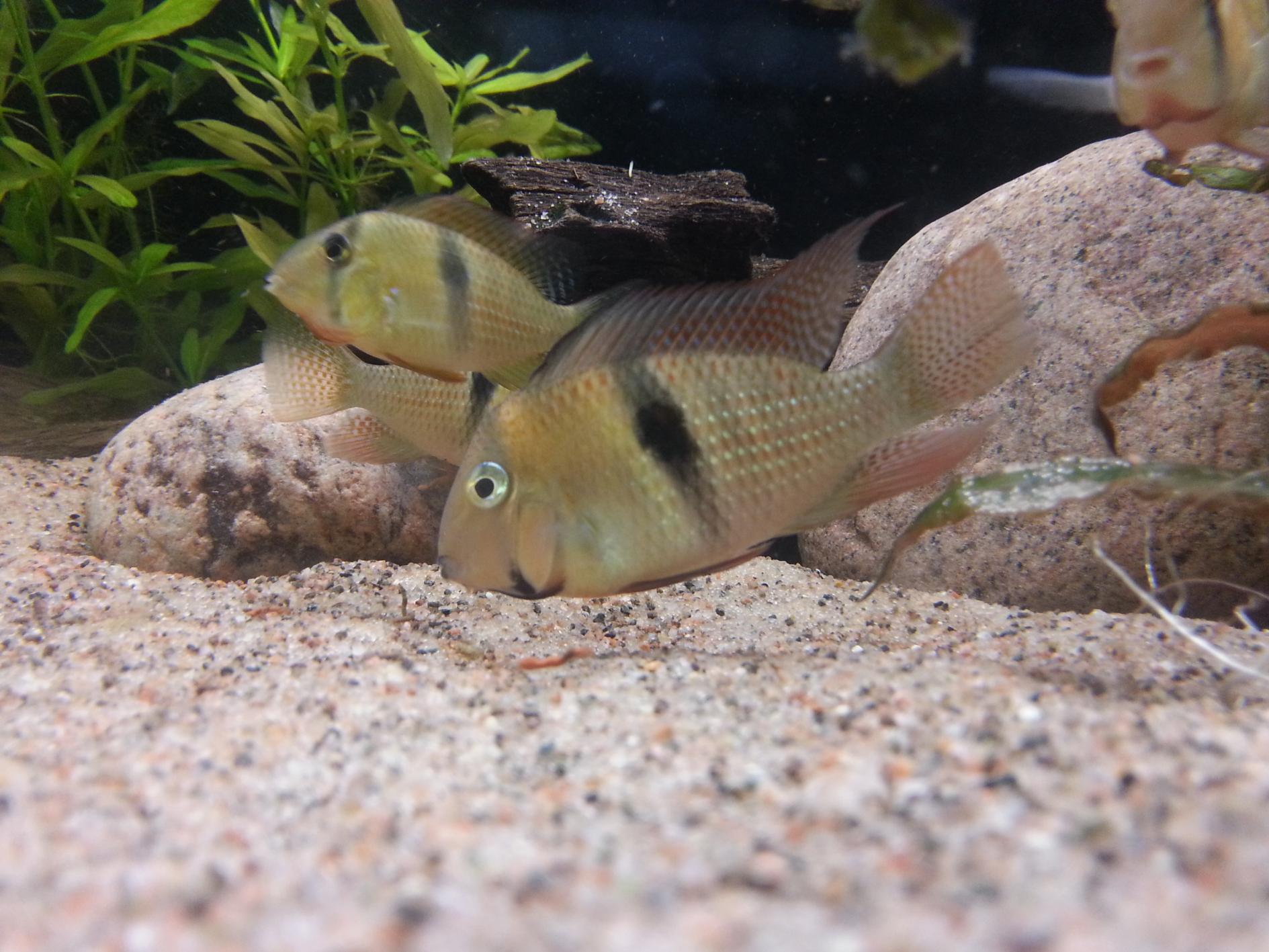 2013-09-09 20.48.38.jpg