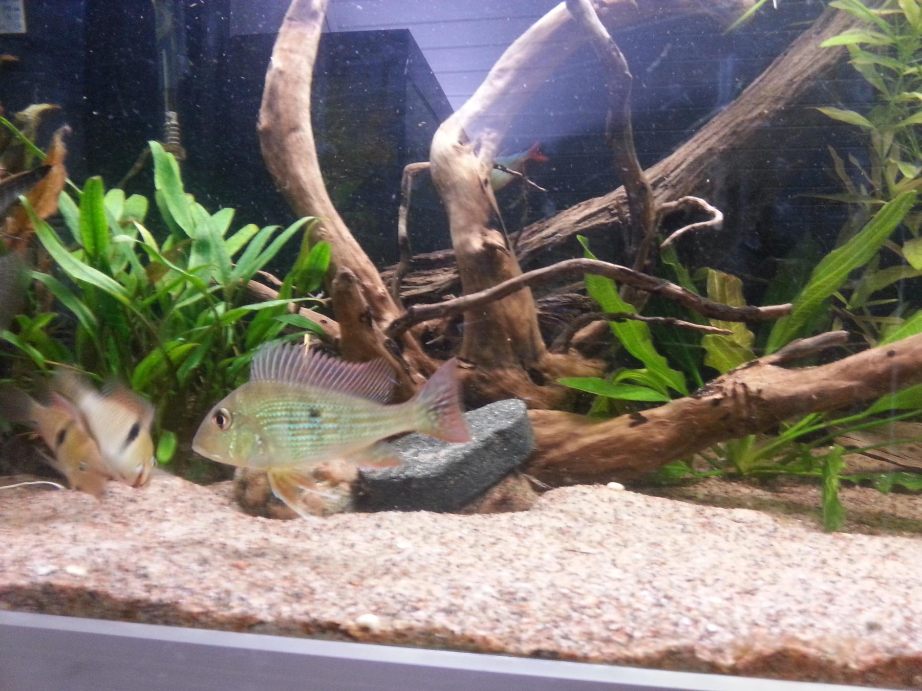 20130910_211216.jpg