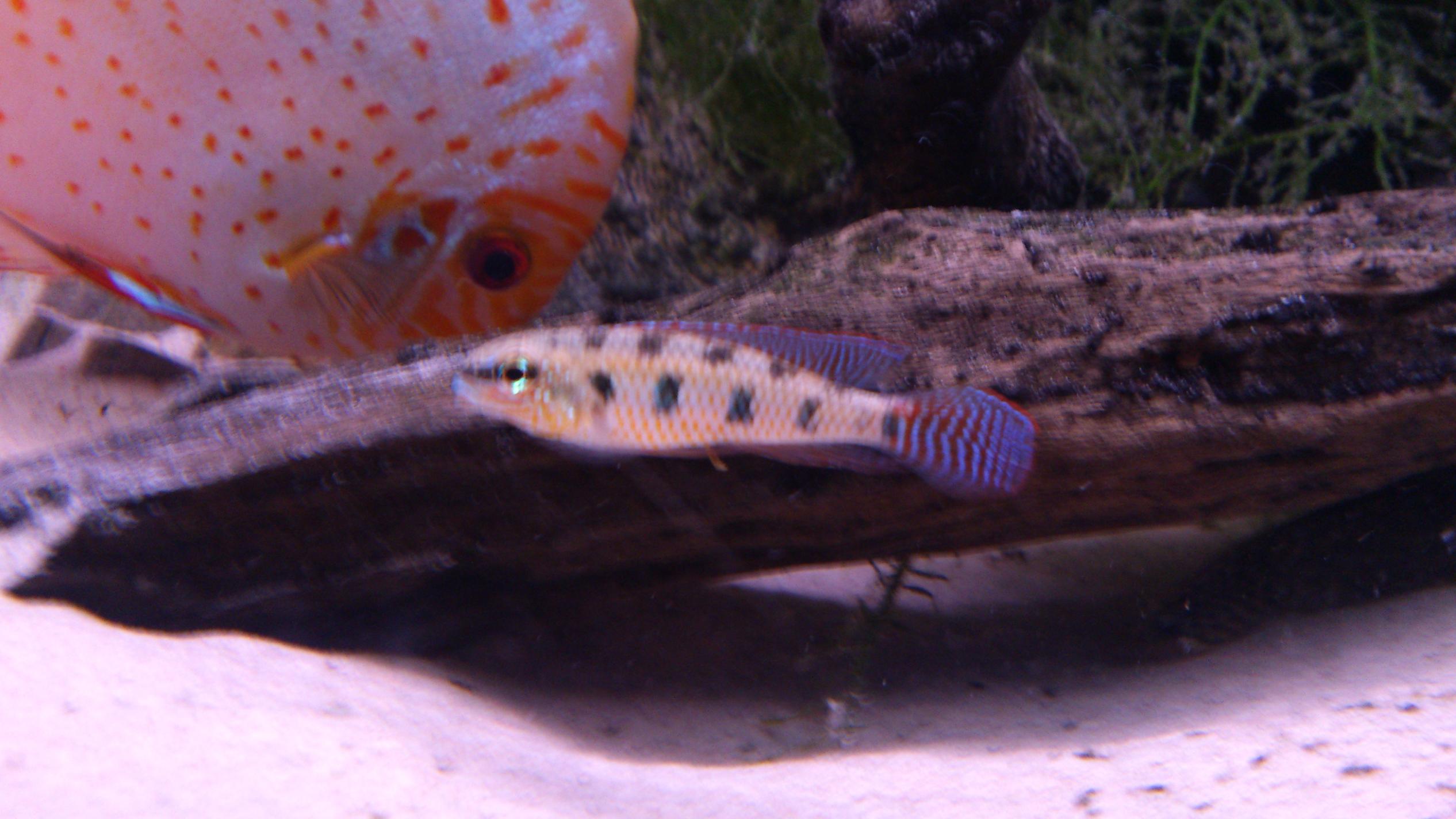 DSC_0892.jpg